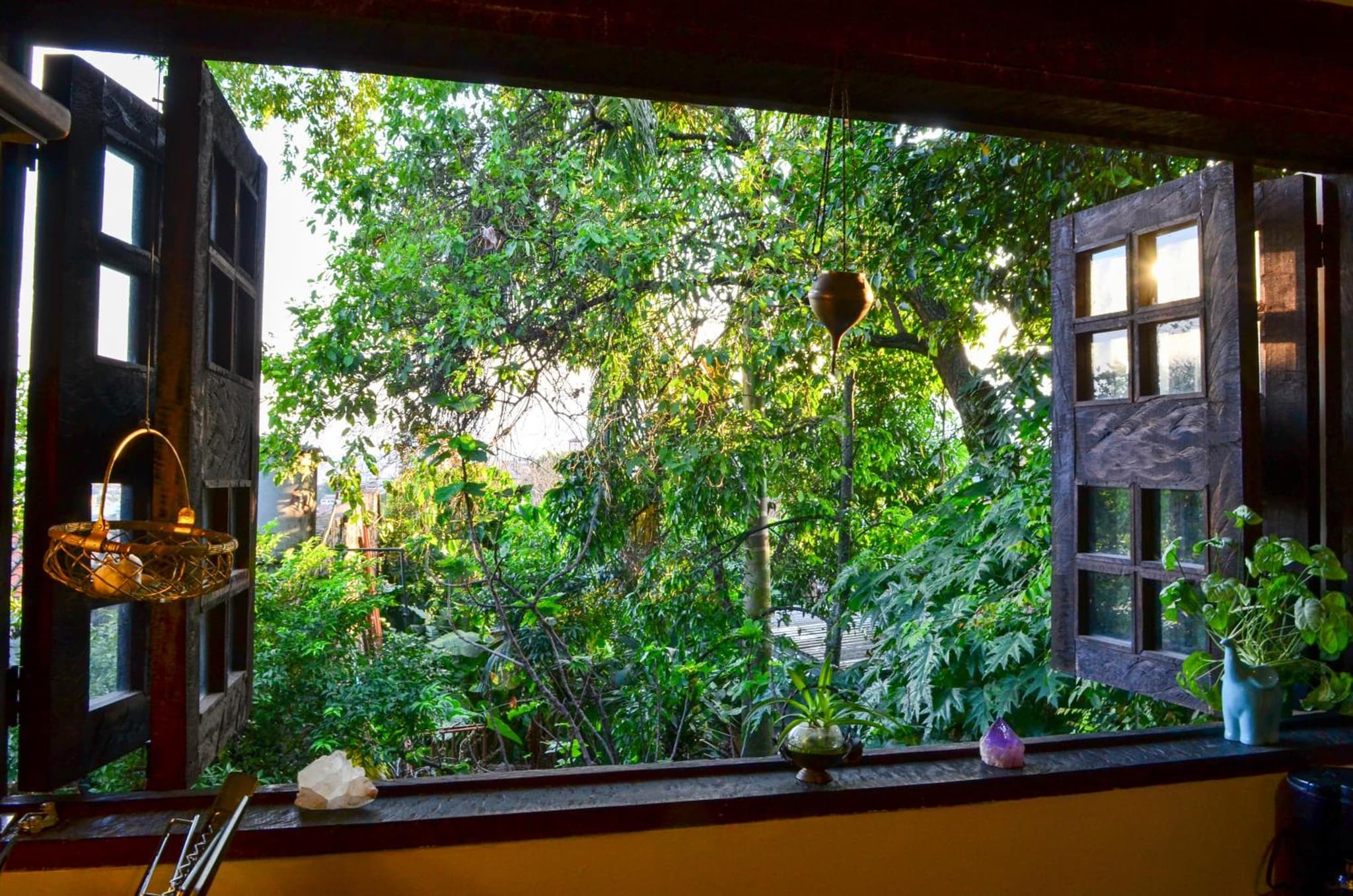 Magic Garden House photo 3