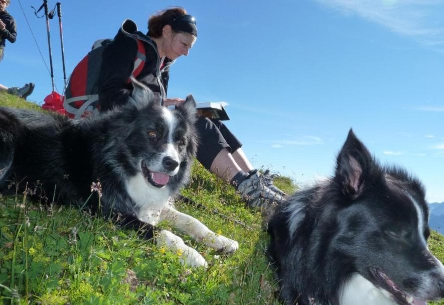 Pension Edelweiss photo 2