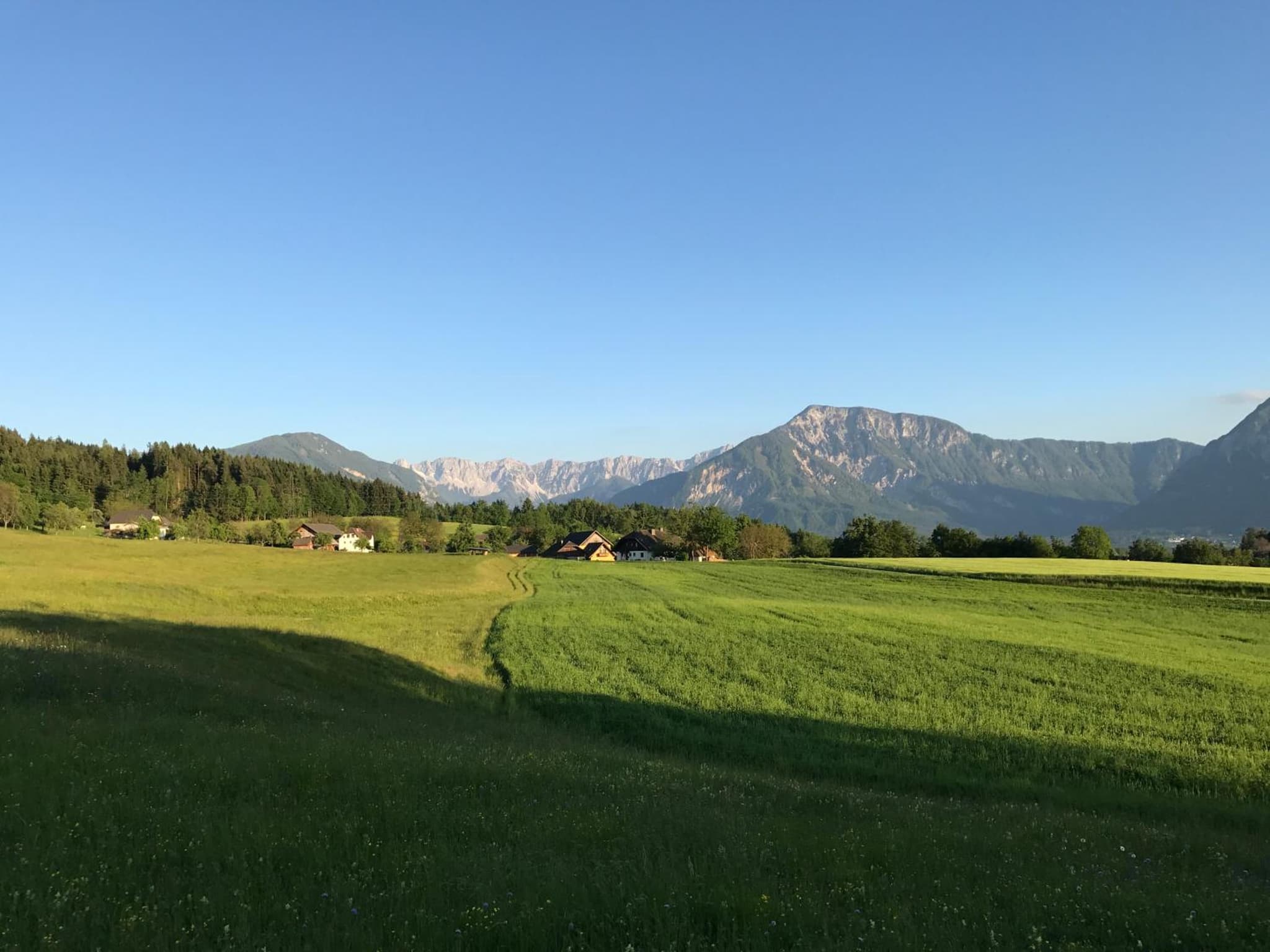 Hotel Sonnenhof photo 5