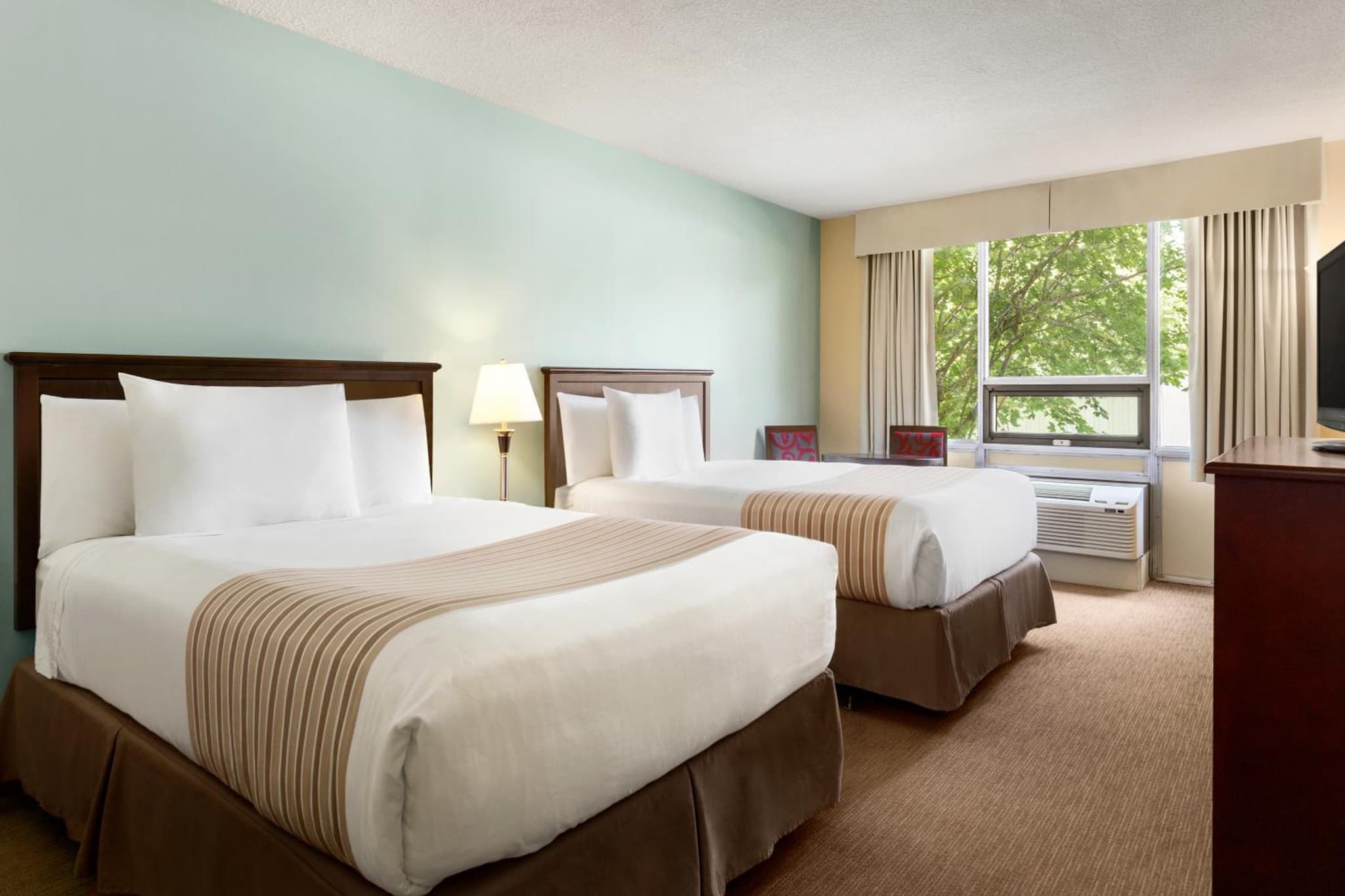 Quality Inn & Suites photo 3