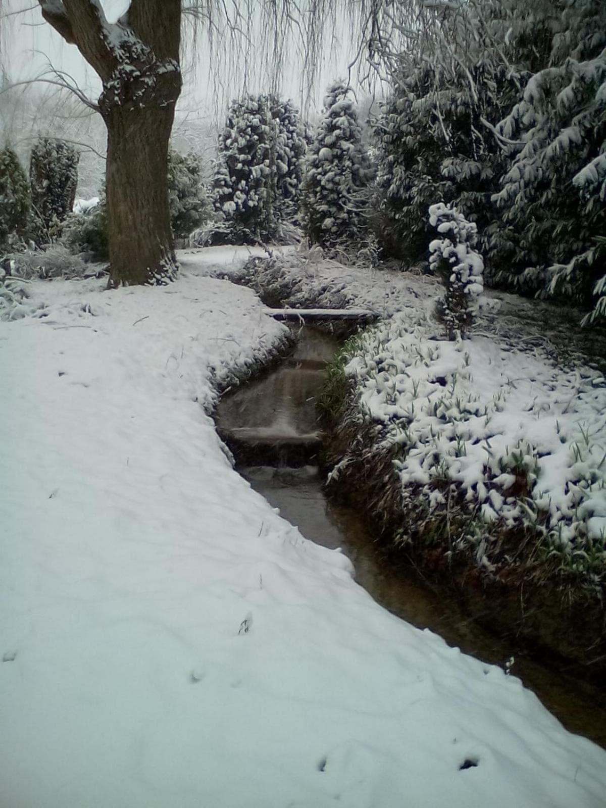 Le Relais De Dalibray photo 6