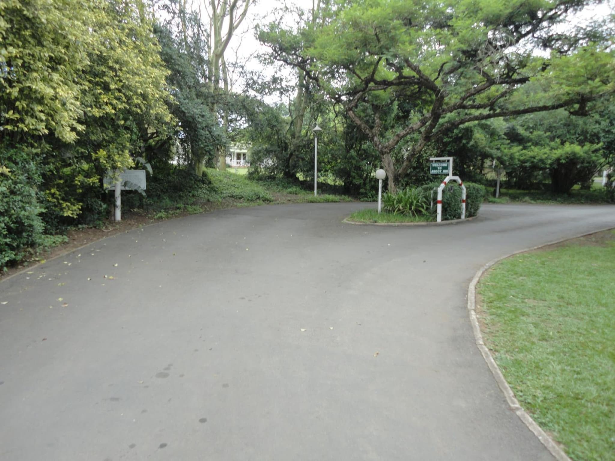 Ascot Inn photo 2