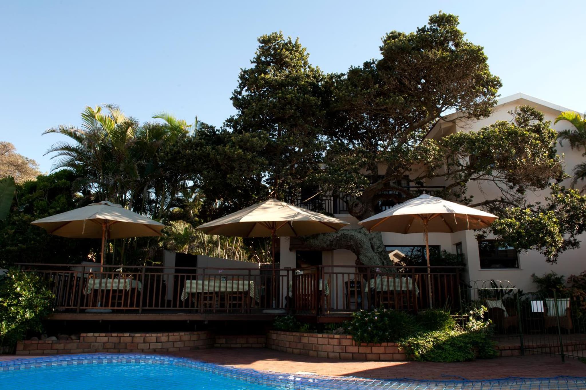 Fairlight Beach House photo 4