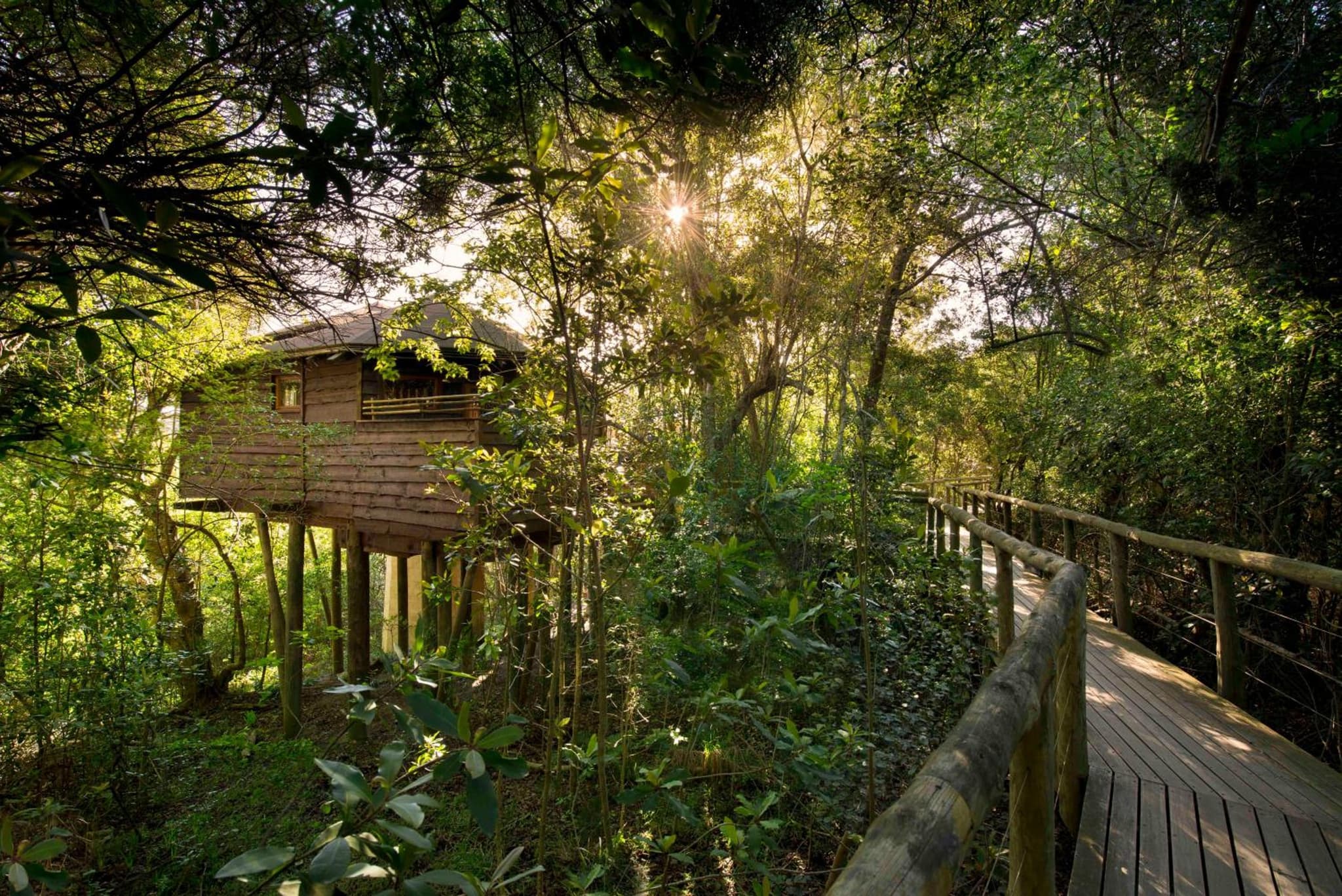 Tsala Treetop Lodge photo 6