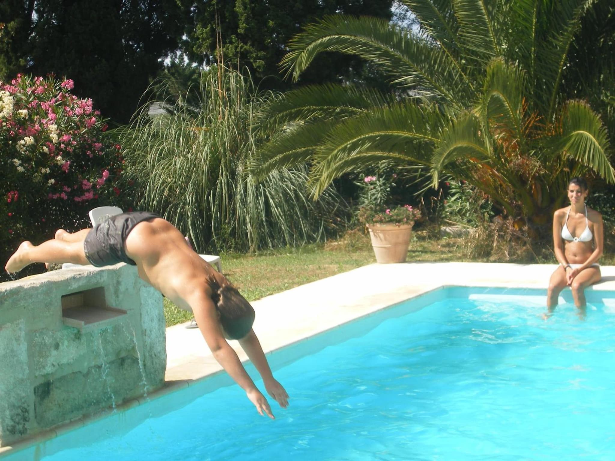 Mas de Rey photo 4