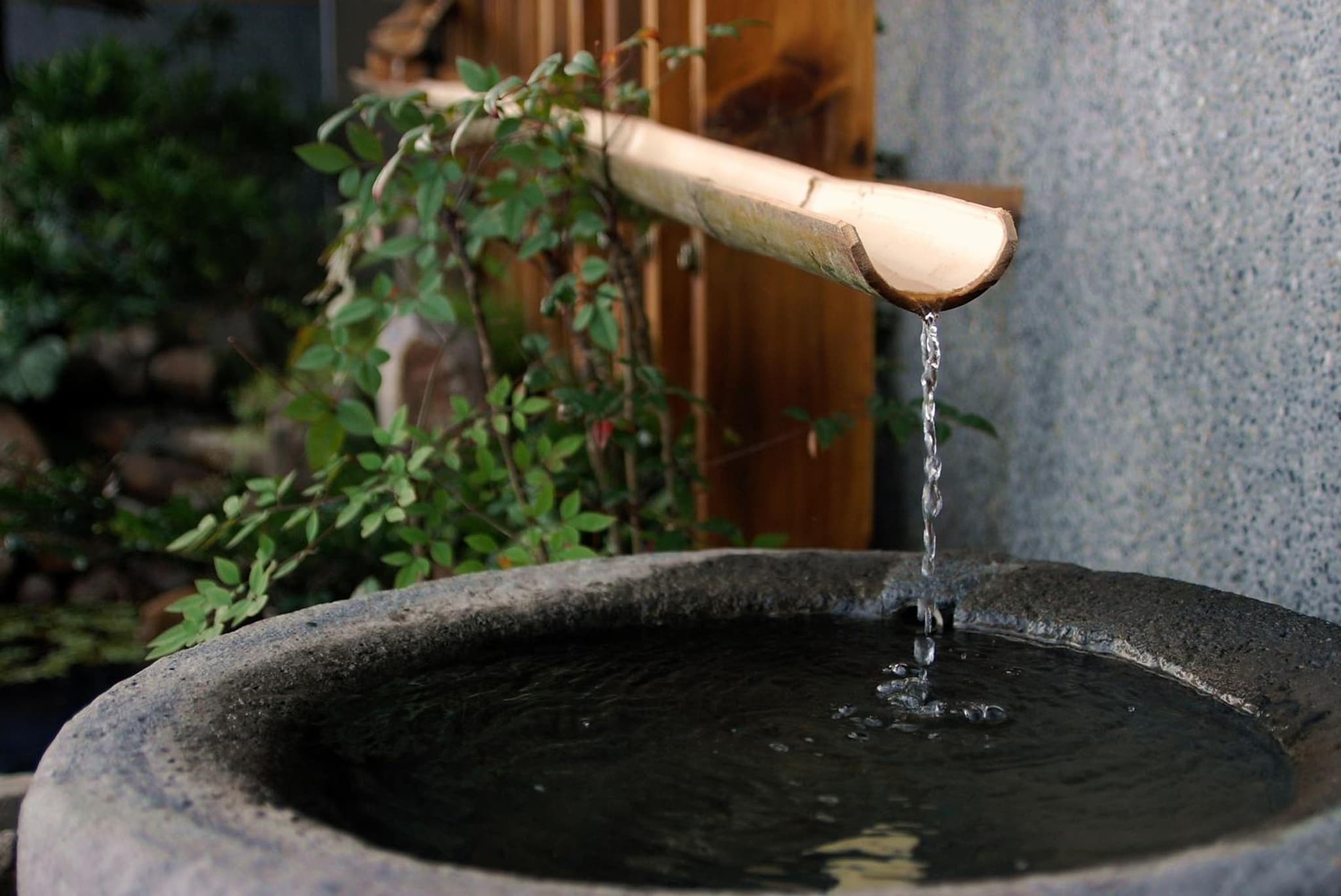 Taiori House photo 9