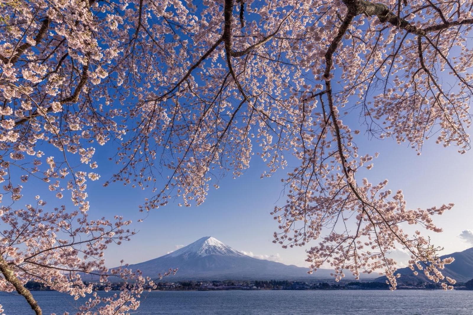 Villas Fuji ヴィラス富士 photo 5