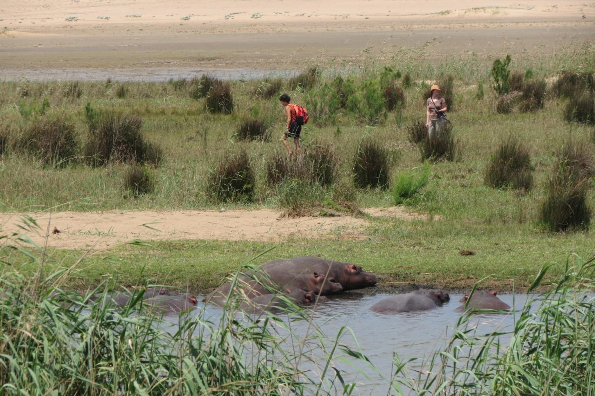 Lodge Afrique photo 4
