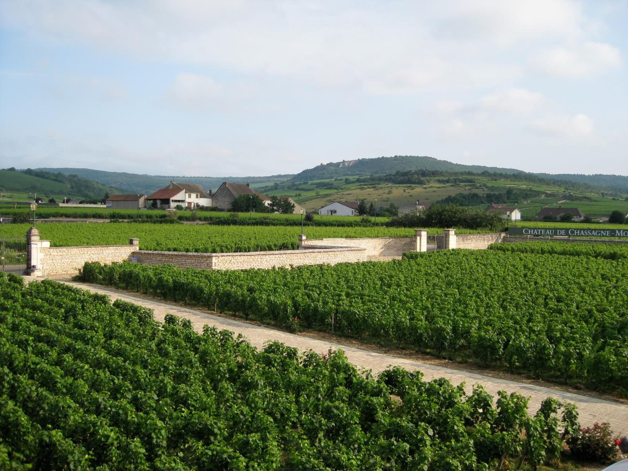 Chateau de Chassagne-Montrachet photo 4