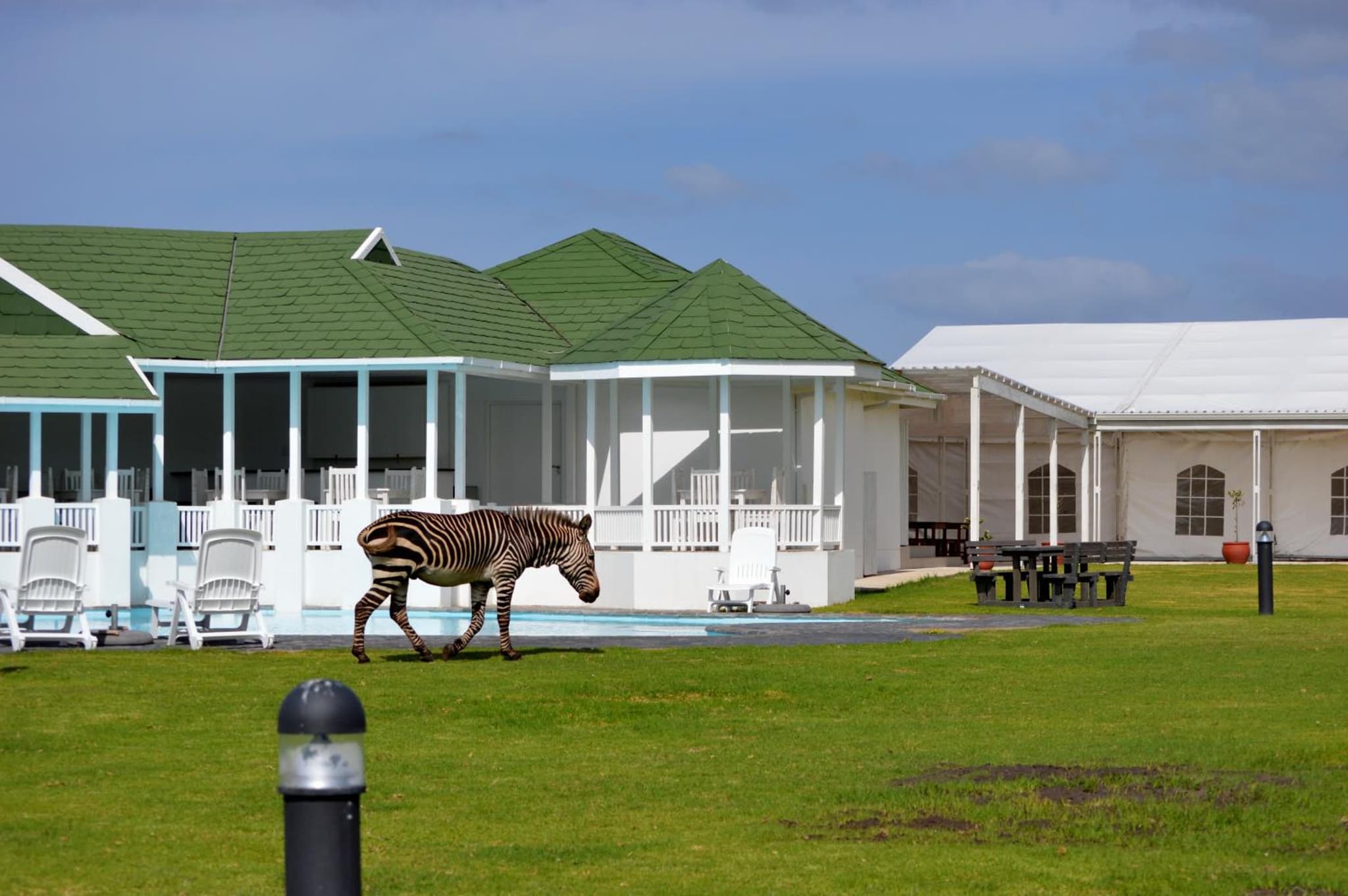 Gourikwa Coastal Nature Reserve photo 9