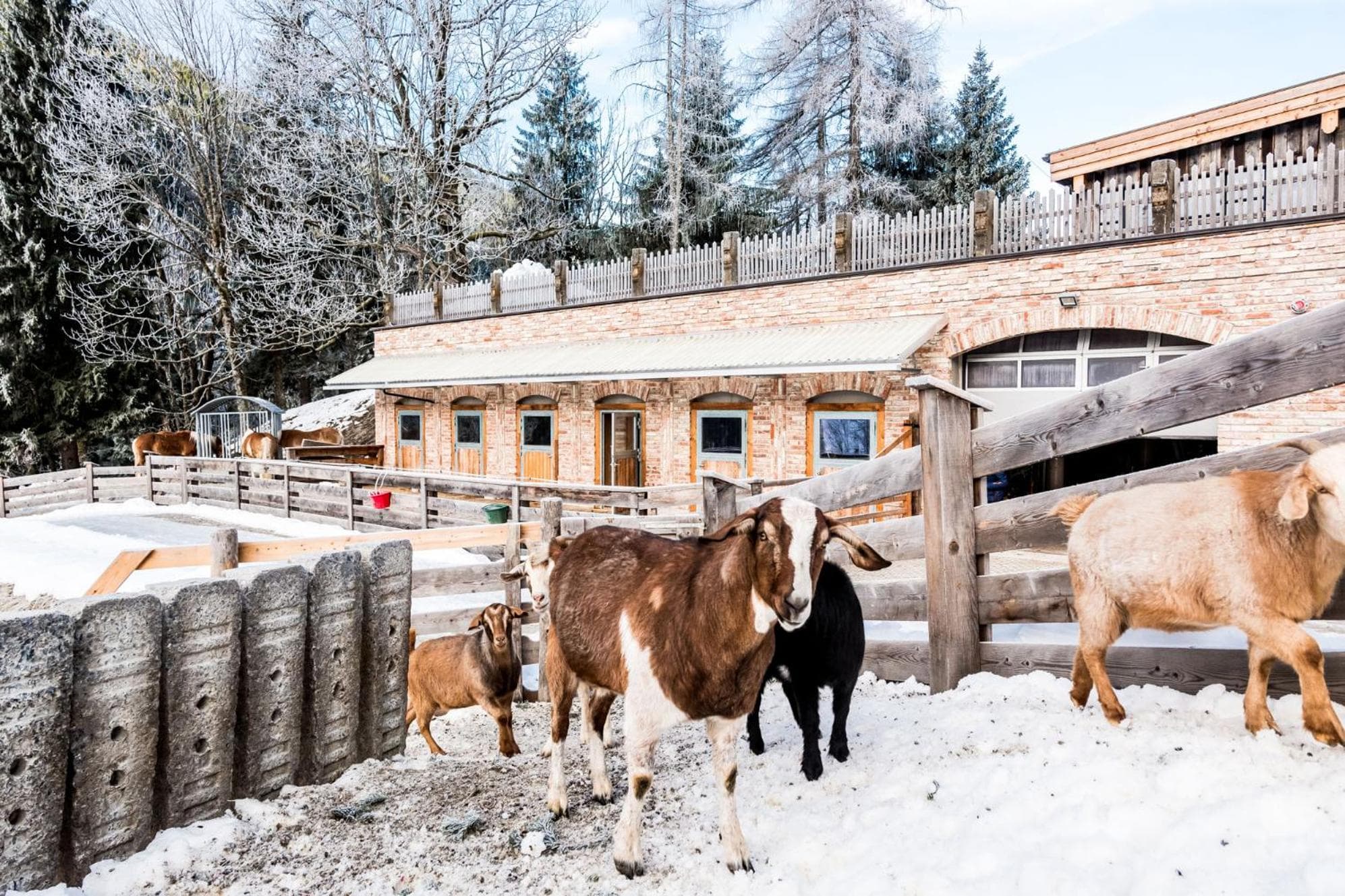 Peakini Farmhaus photo 5