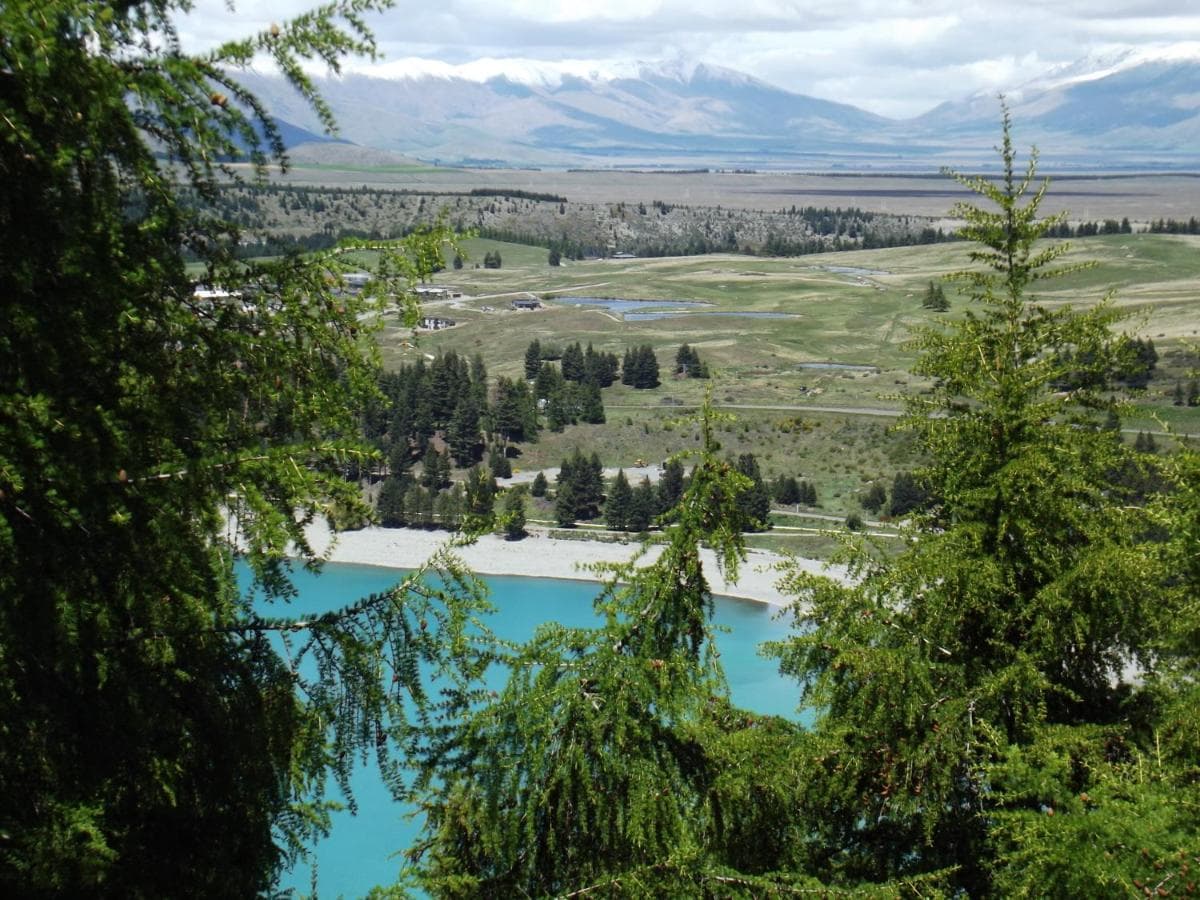 Lake Tekapo Lodge photo 2