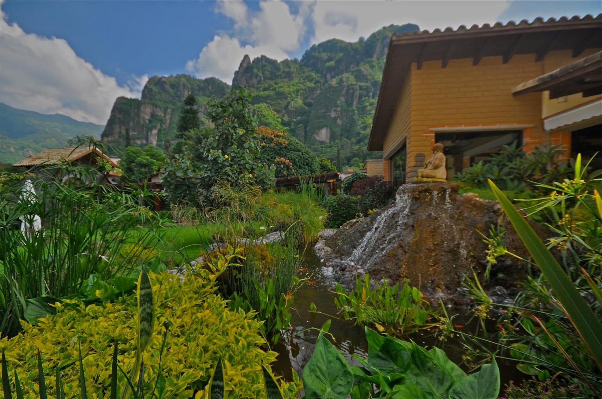 La Buena Vibra Wellness Resort & Spa photo 5