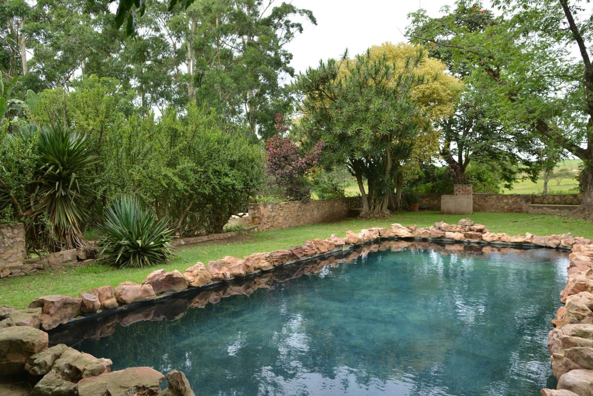 Tala Private Game Reserve photo 9
