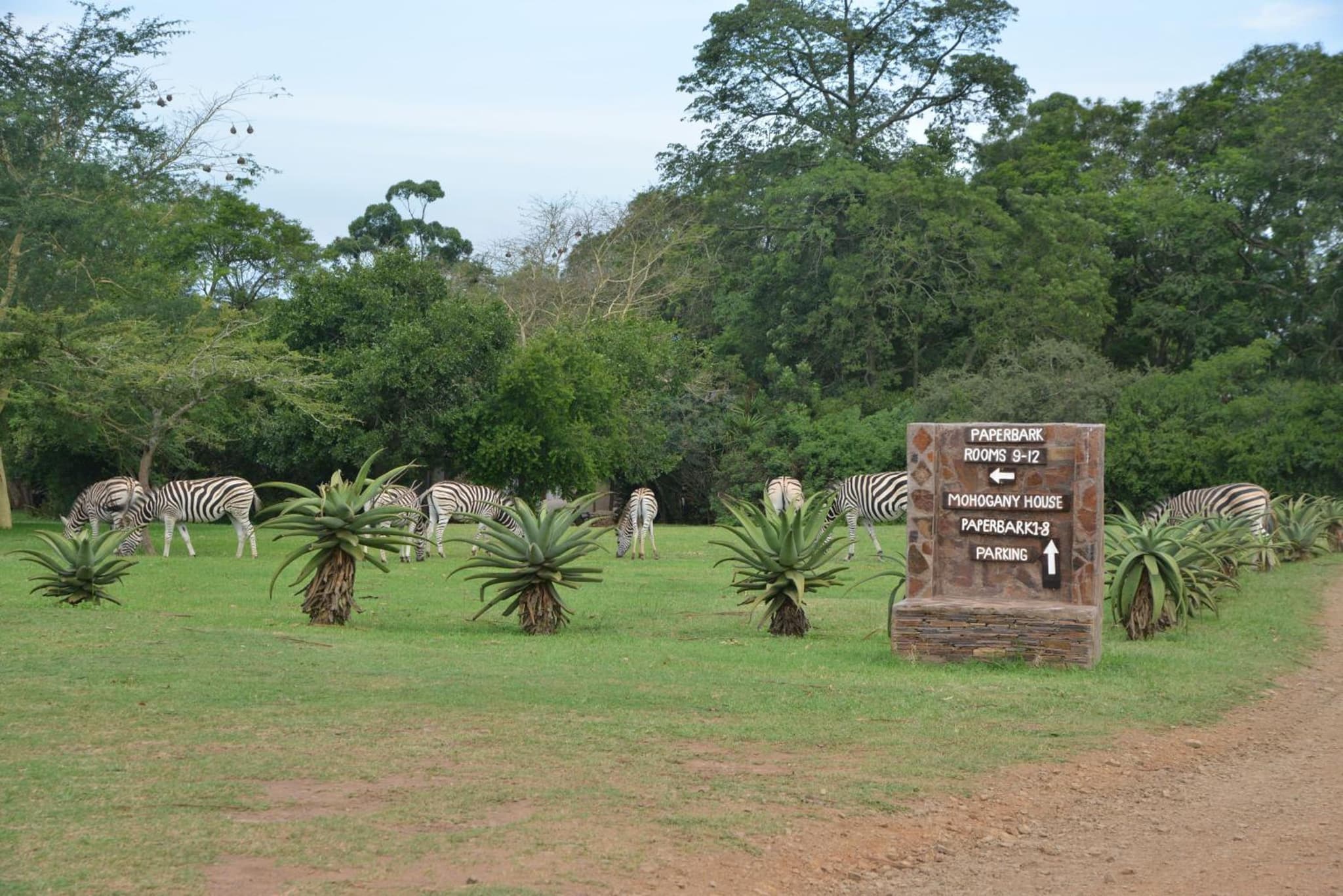 Tala Private Game Reserve photo 2