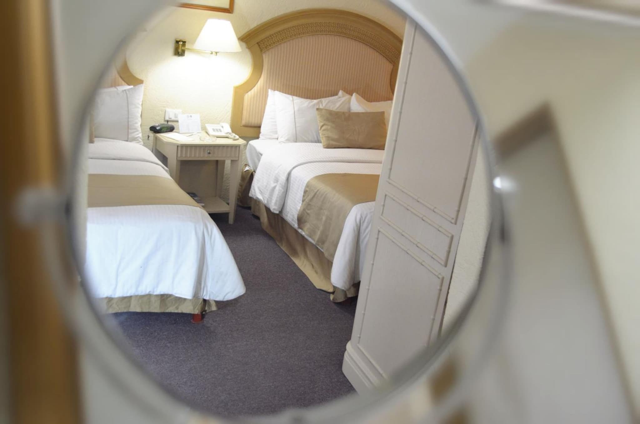 Best Western PLUS Plaza Florida & Tower photo 8