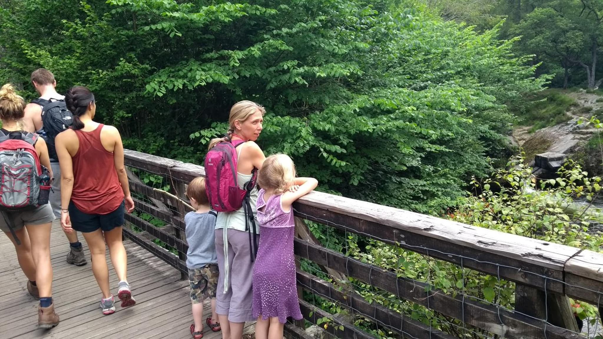 Waterfall Lodge photo 7