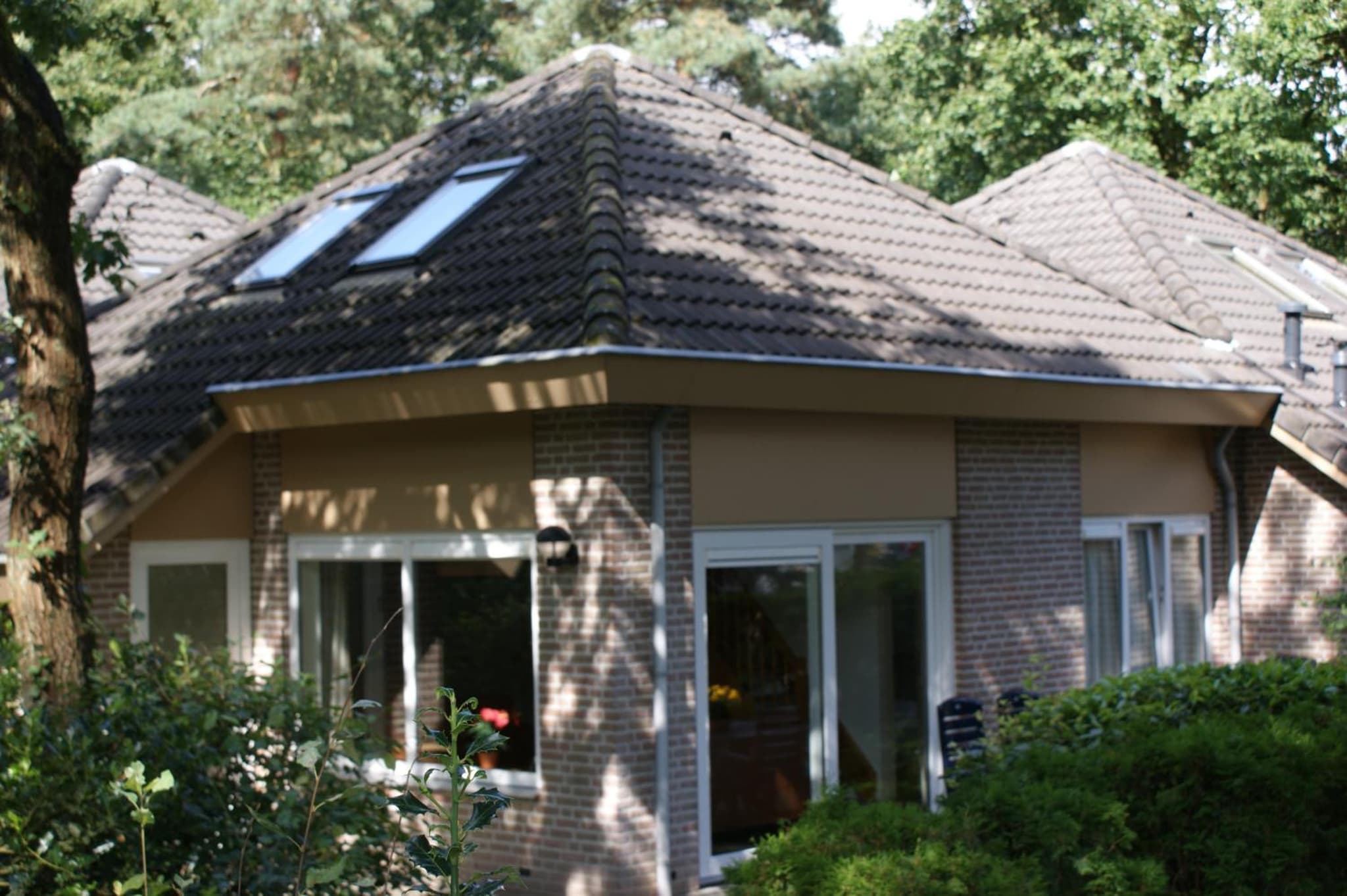 Bungalow 6 personen photo 4