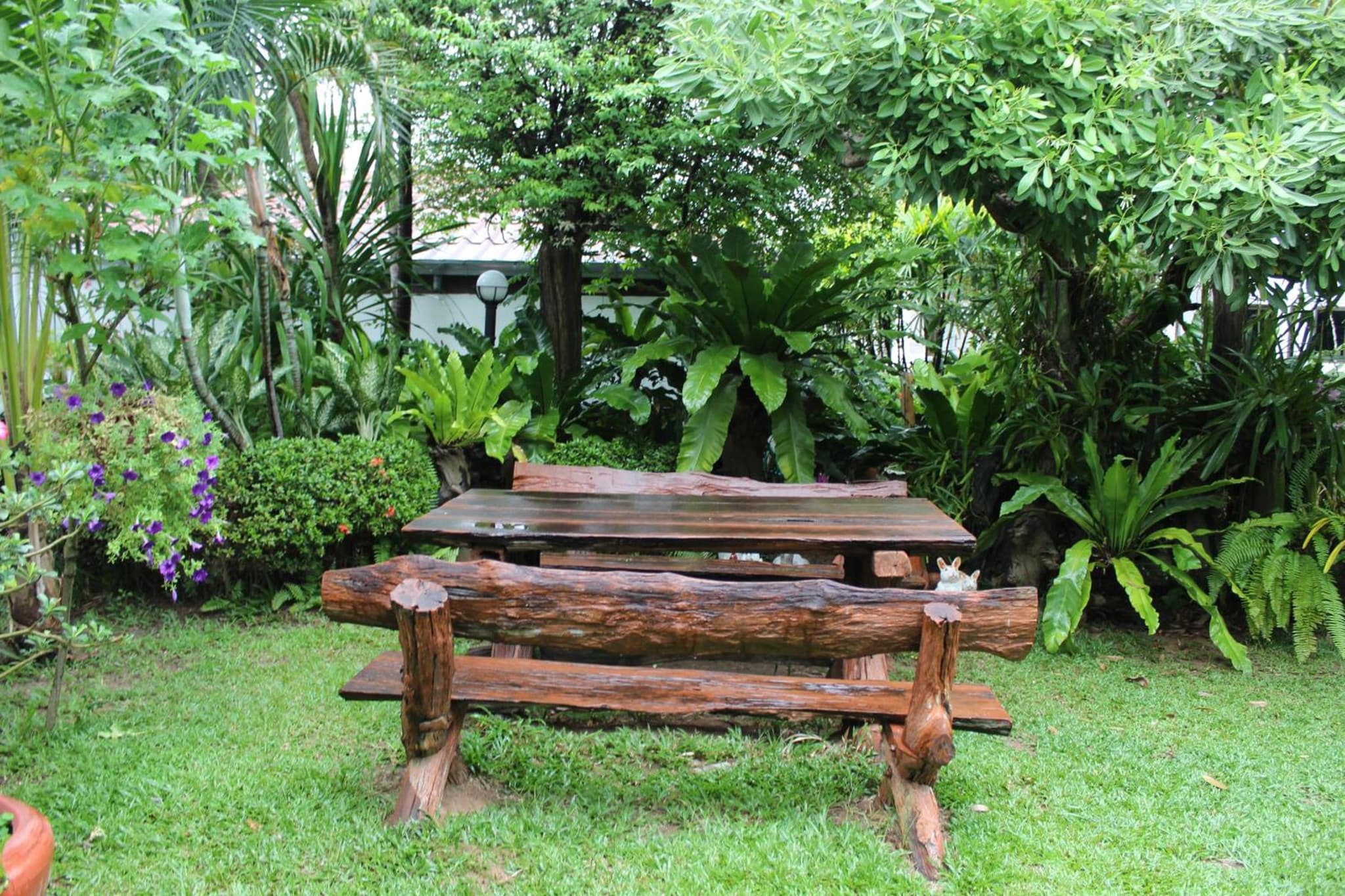 White Elephant Resort photo 6