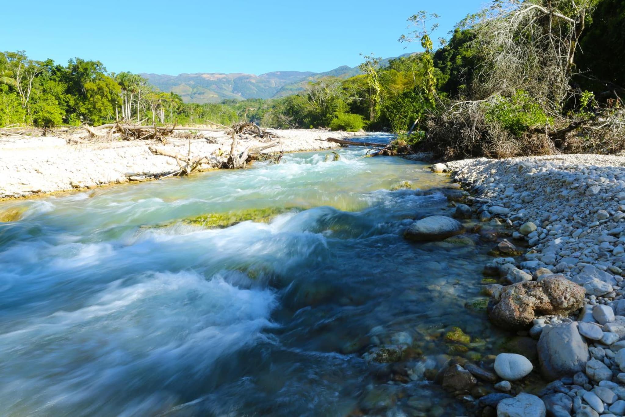 Platon Ecolodge photo 5
