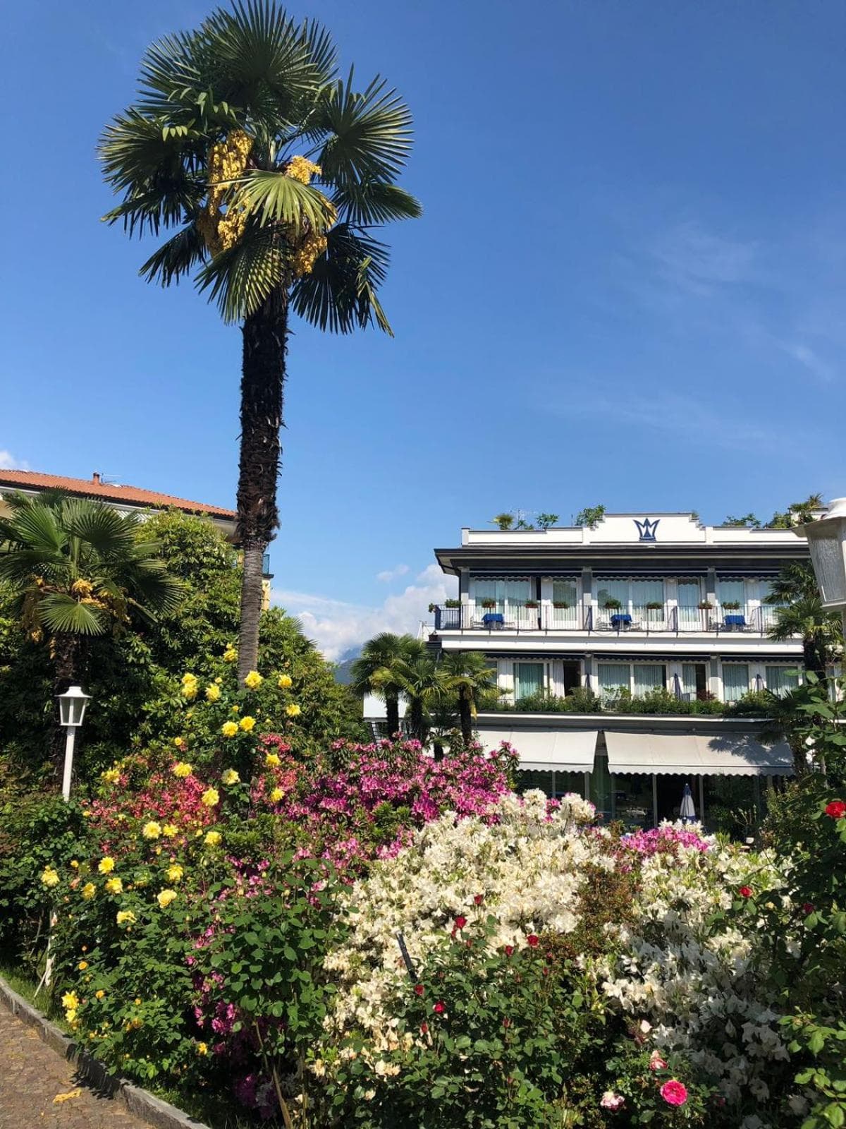Hotel Royal photo 5