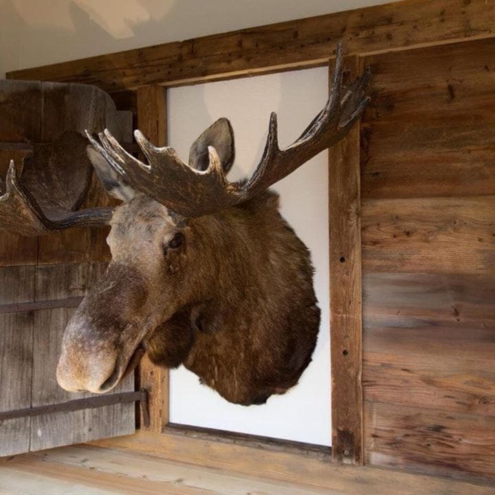 Chalet ELK Lenk photo 8