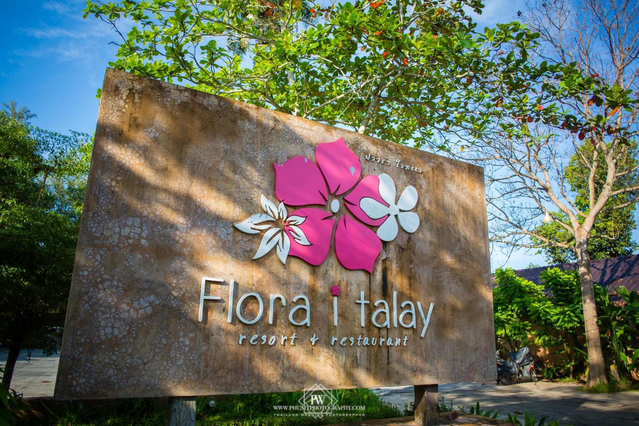 Flora I Talay photo 8