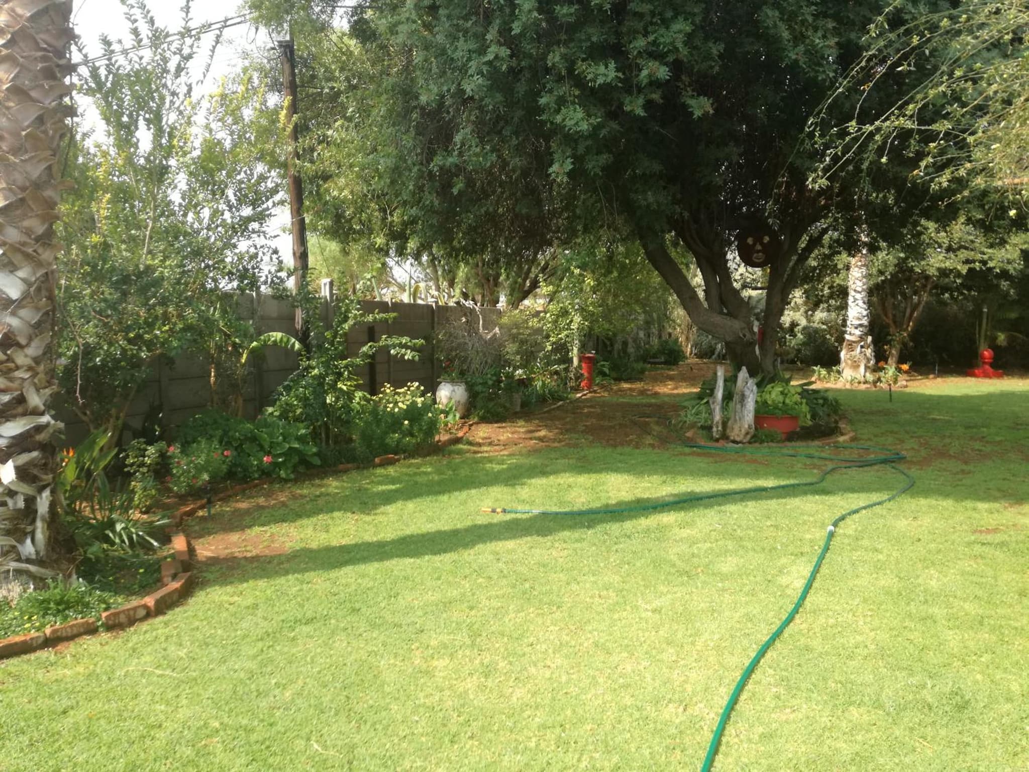Mom's Place photo 7