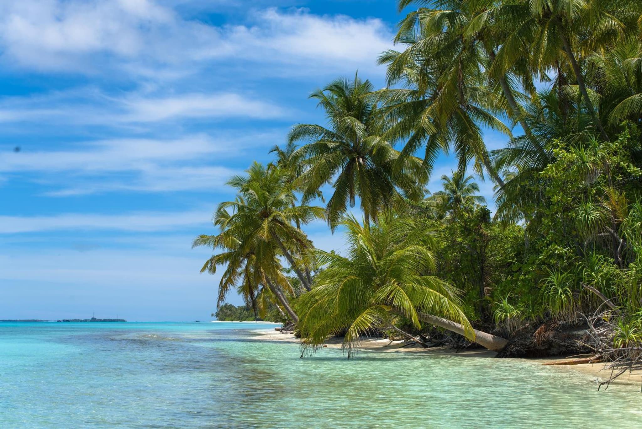 Dhiguveli Maldives photo 3