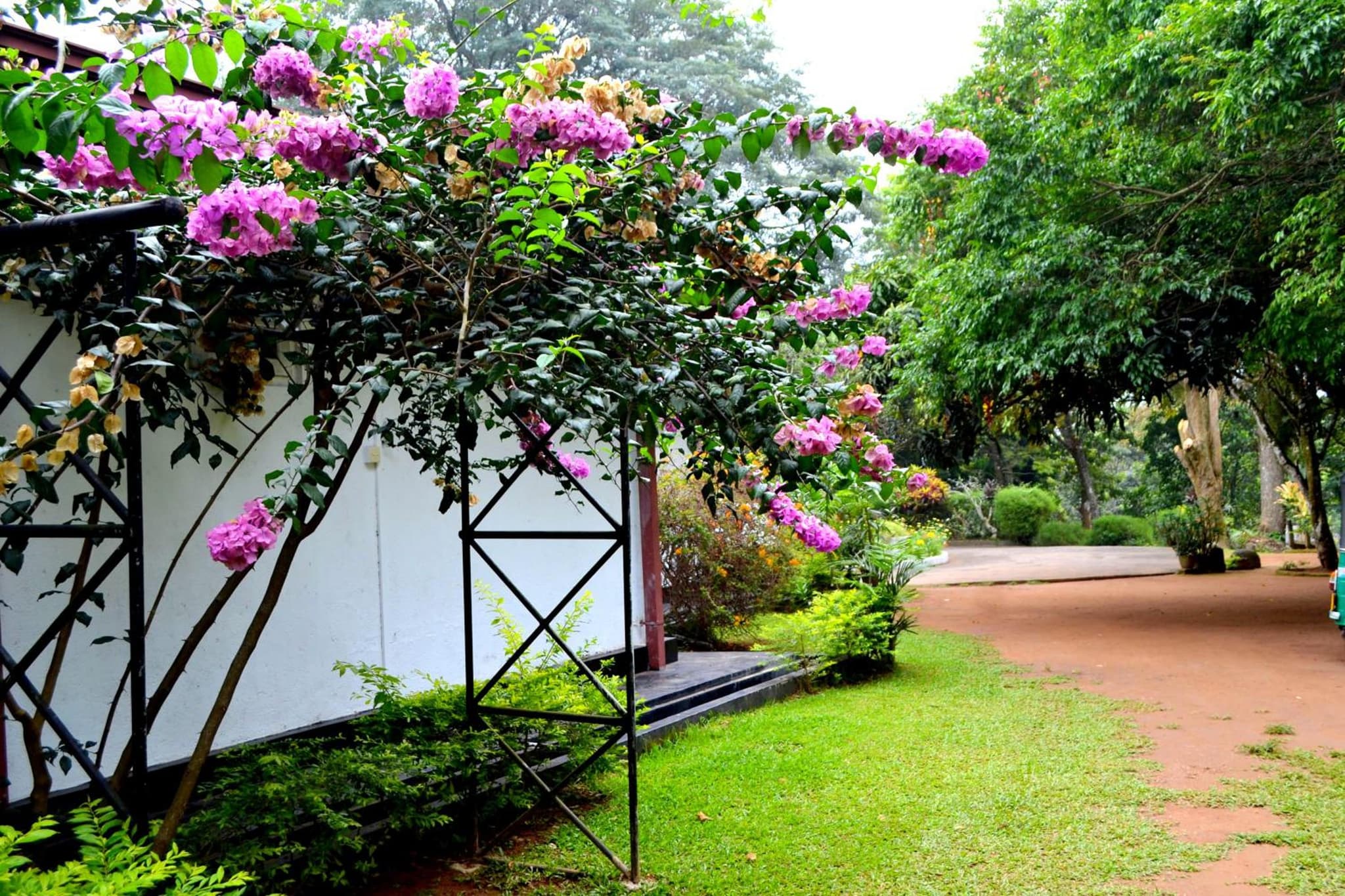 Sama Uyana Holiday Bungalow photo 2