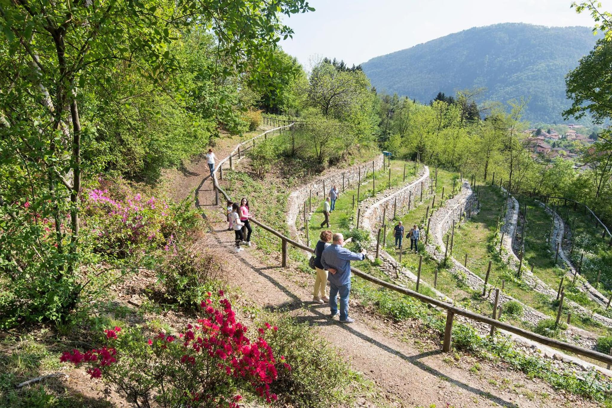 Agriturismo Al Motto photo 5
