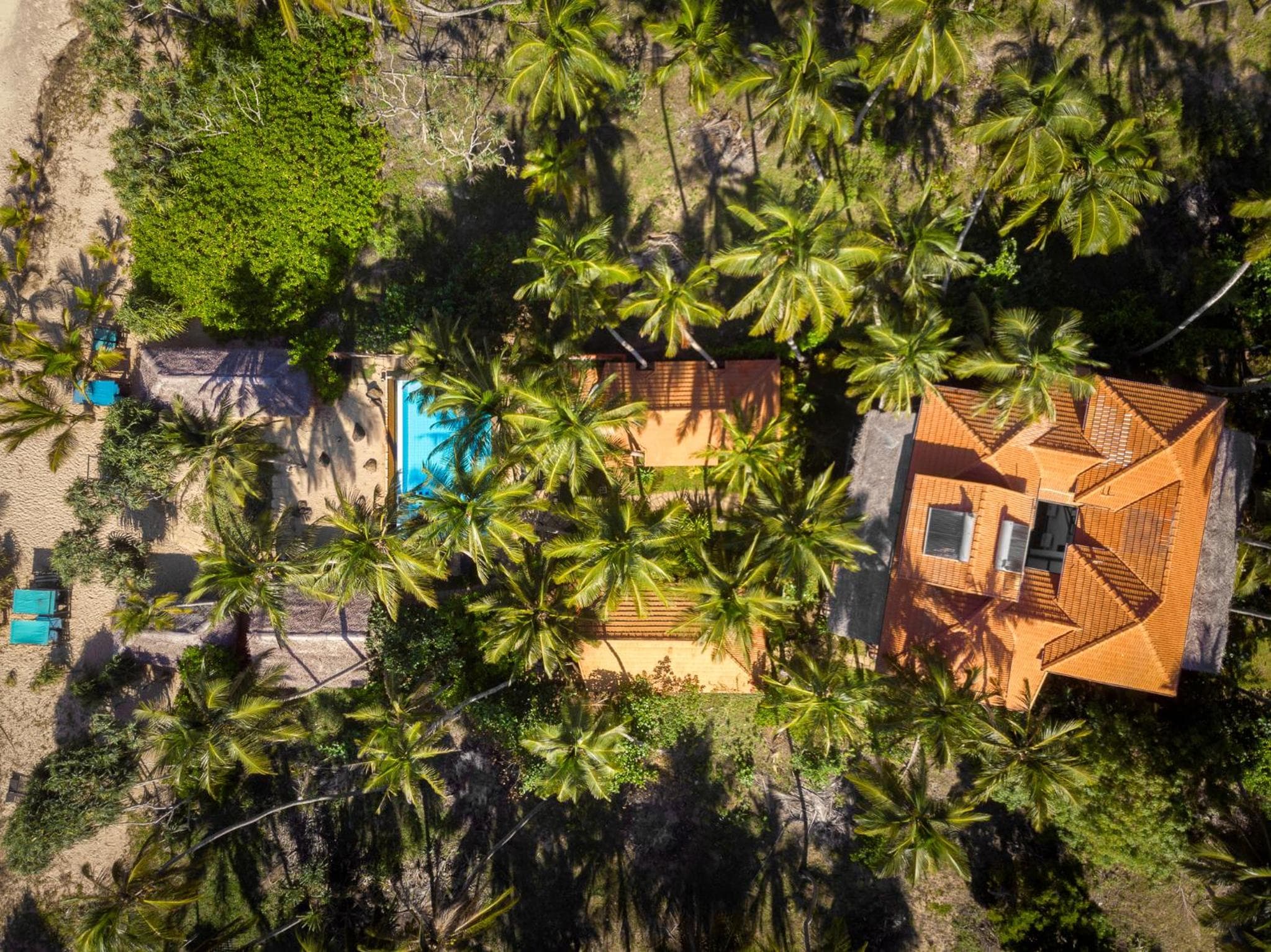 Seven Turtles