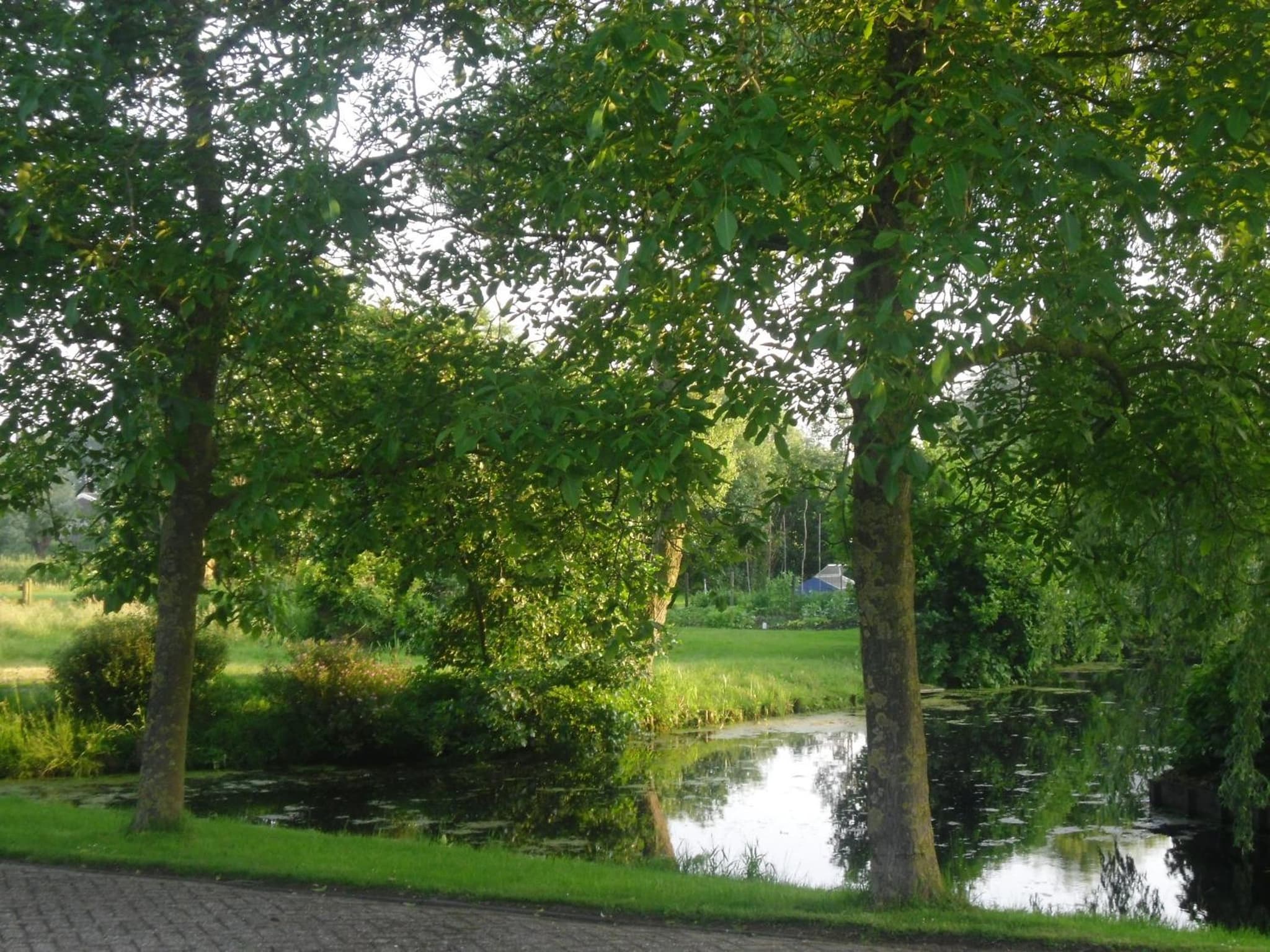 Bed and breakfast Hoeve Spoorzicht photo 4