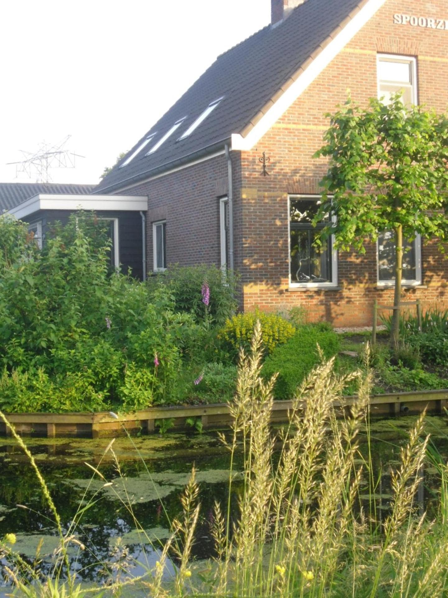 Bed and breakfast Hoeve Spoorzicht photo 8