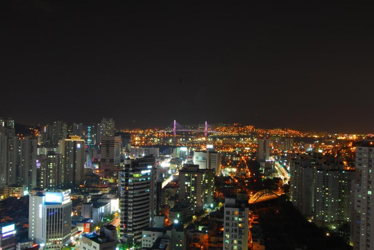 Dynamic Guesthouse photo 4