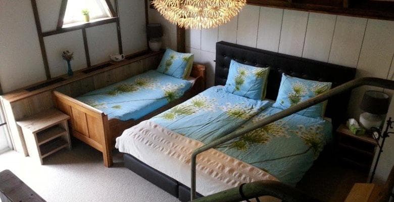 B & B De Pimpelmees photo 4