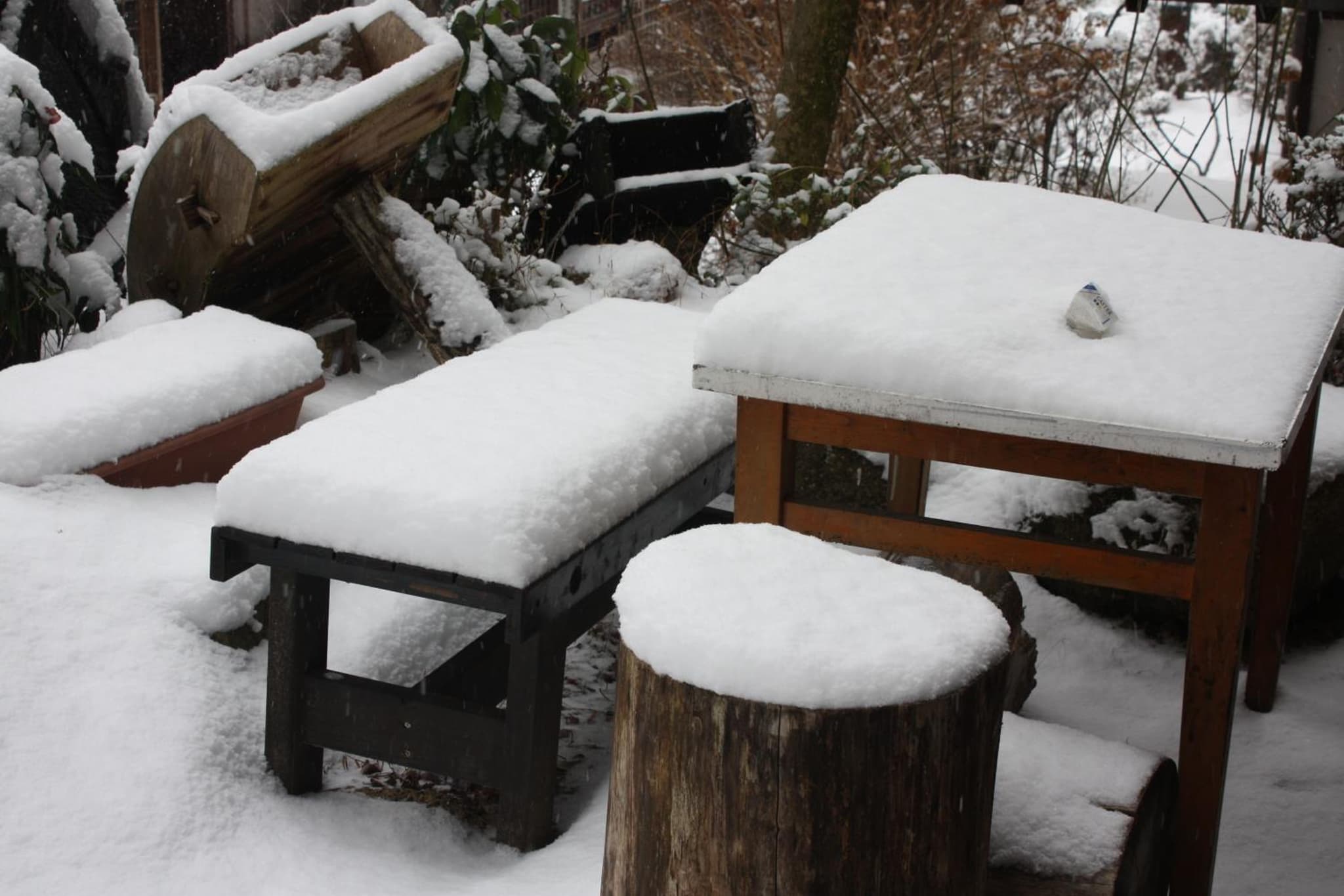 Magome Chaya photo 2