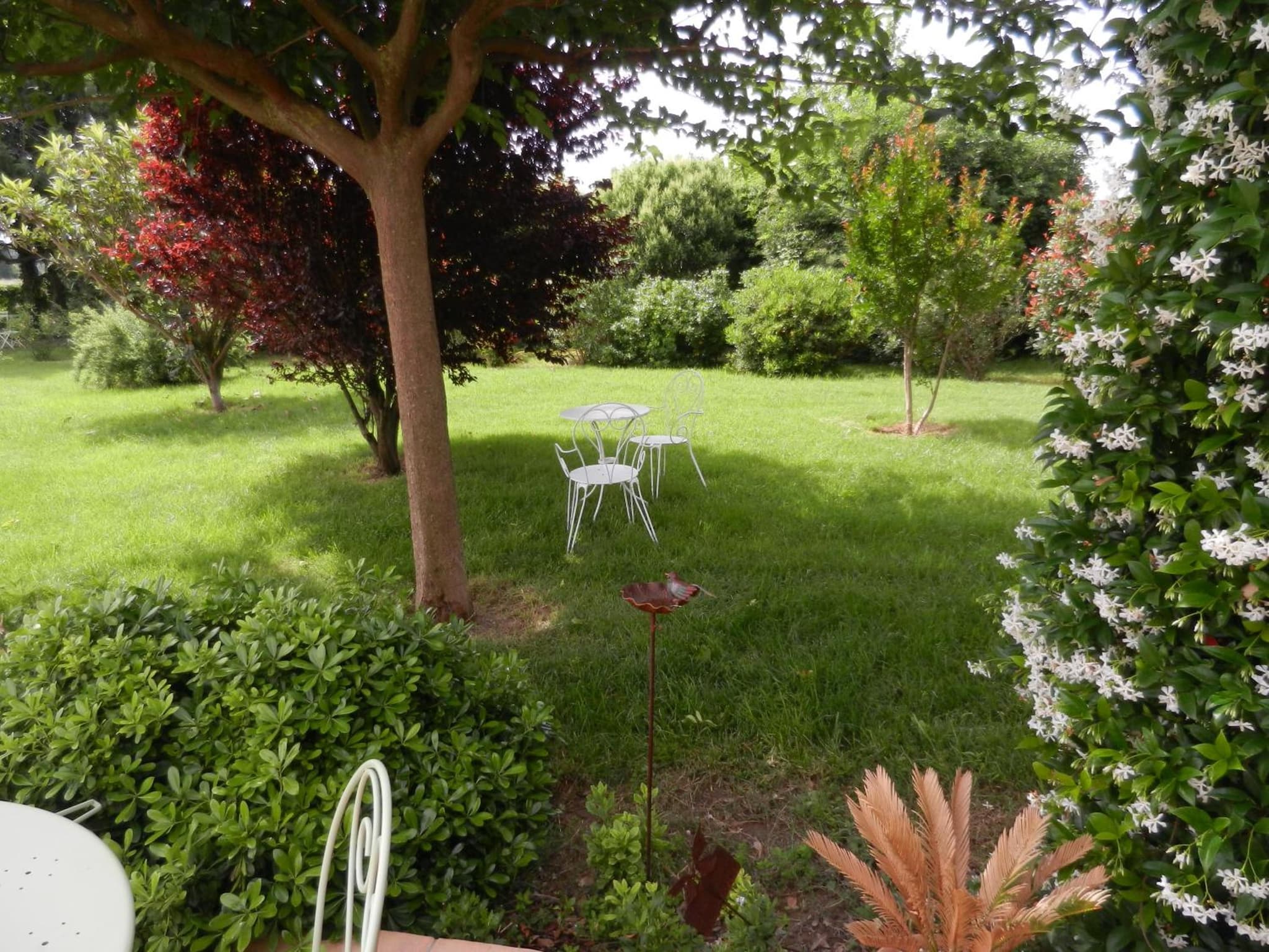 La Fenière aux Hirondelles photo 8