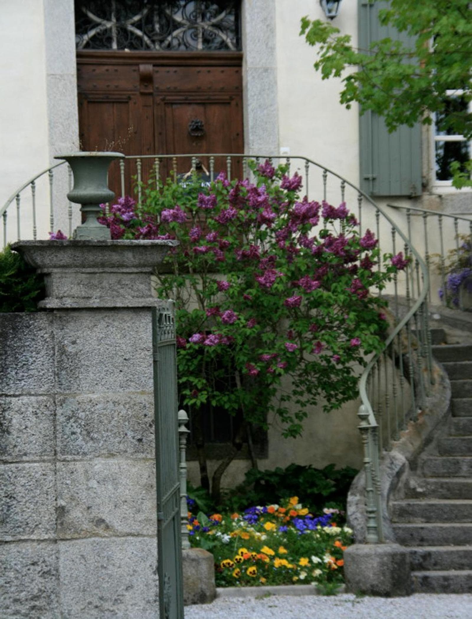 L'affable Les cammazes photo 5