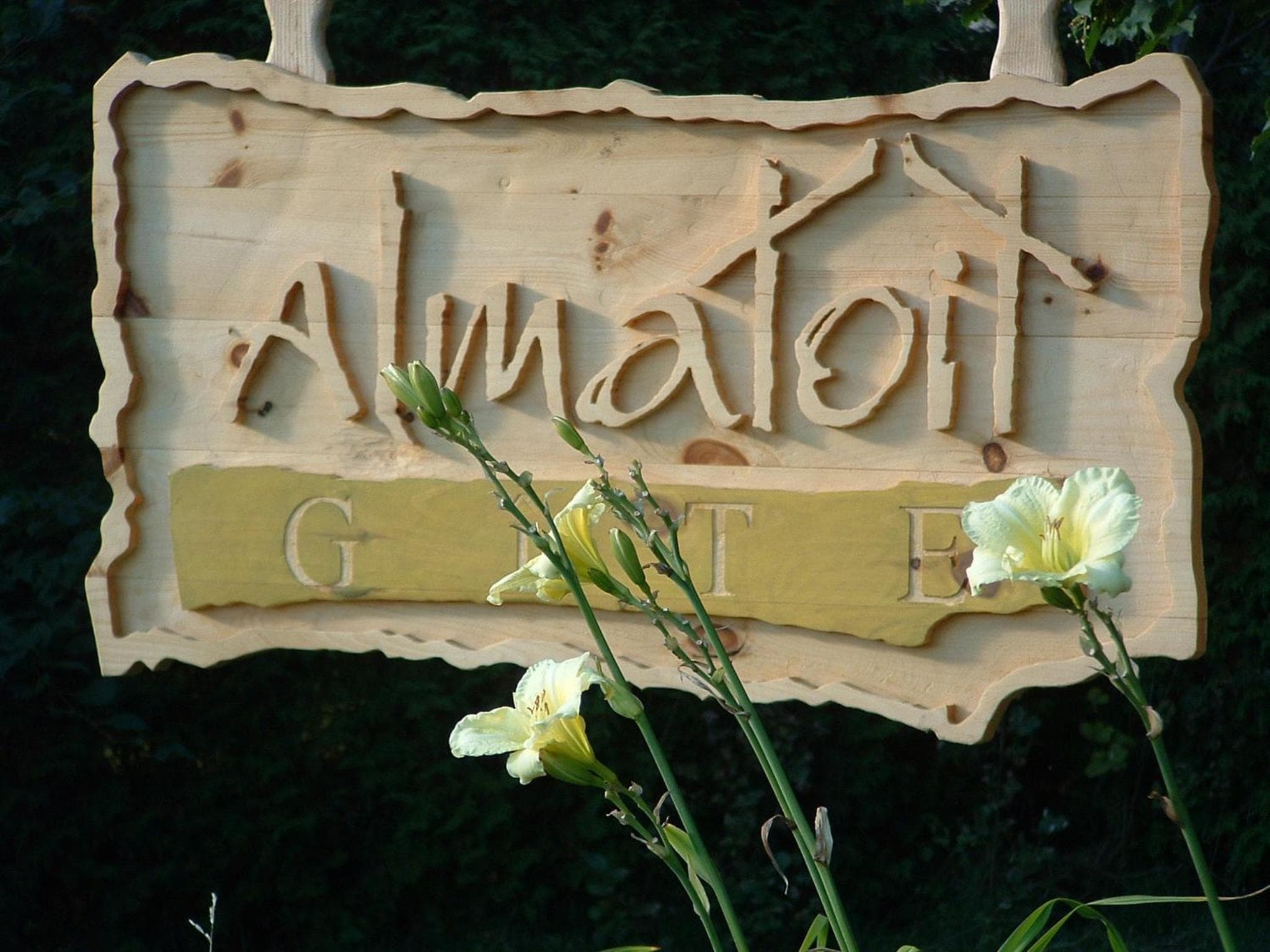 Almatoit photo 5