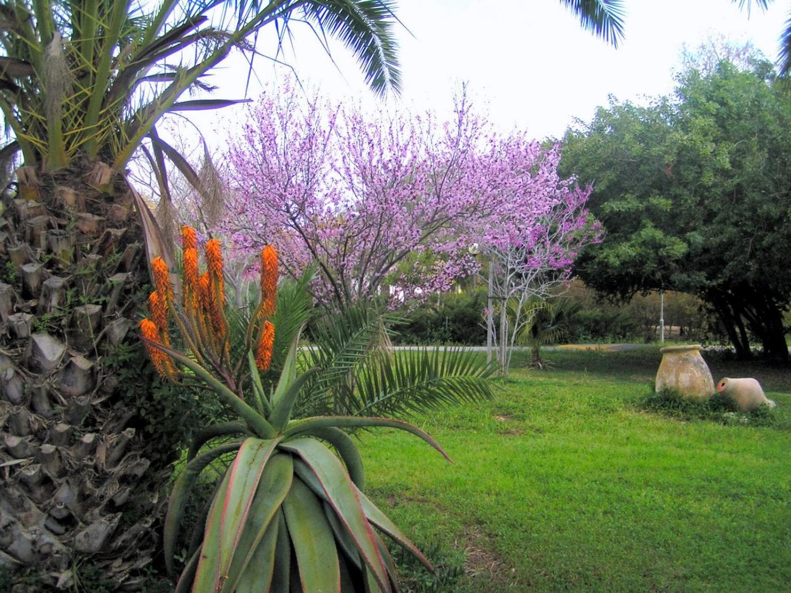 Eretz Zeelim photo 4