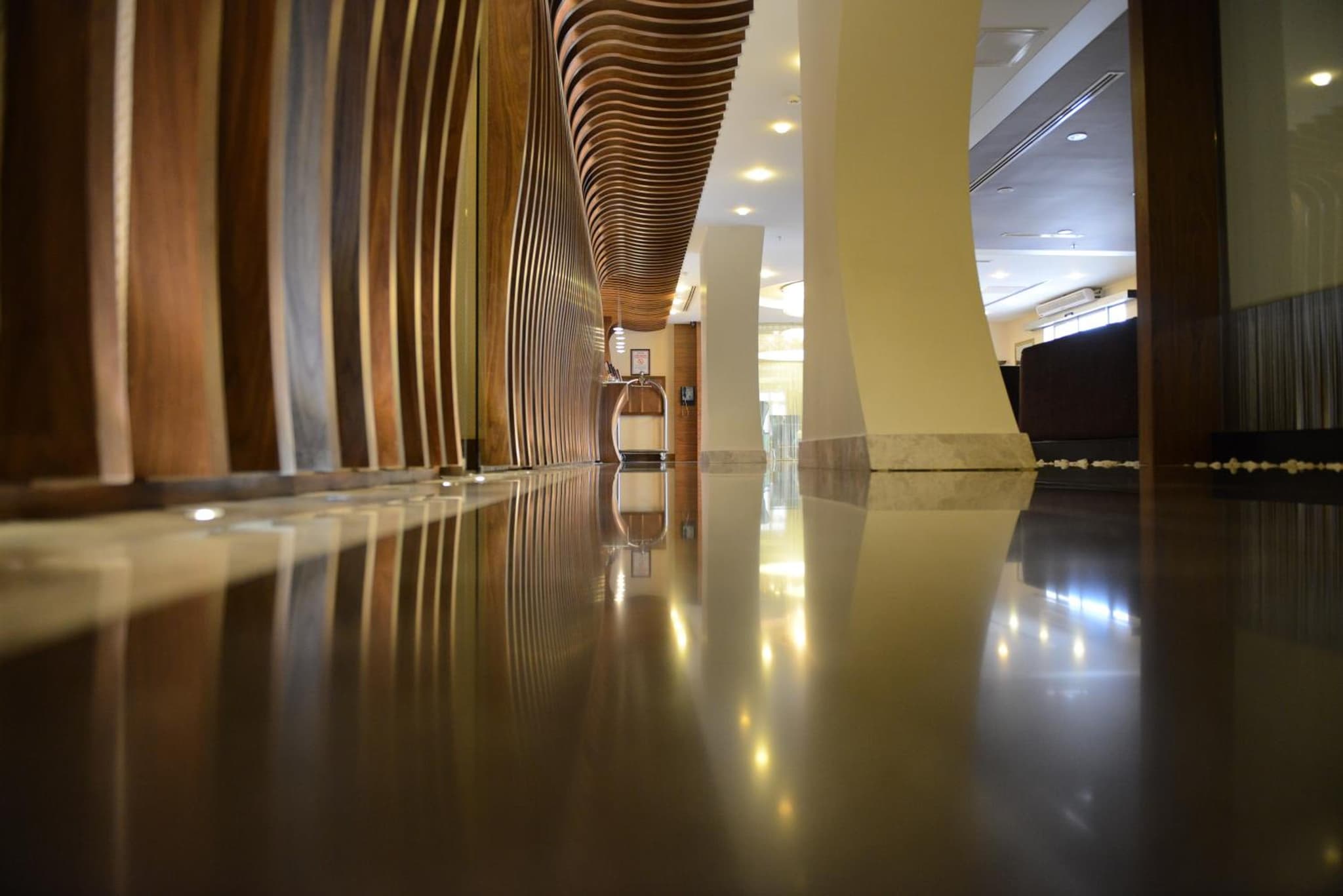 recepcion & lobby