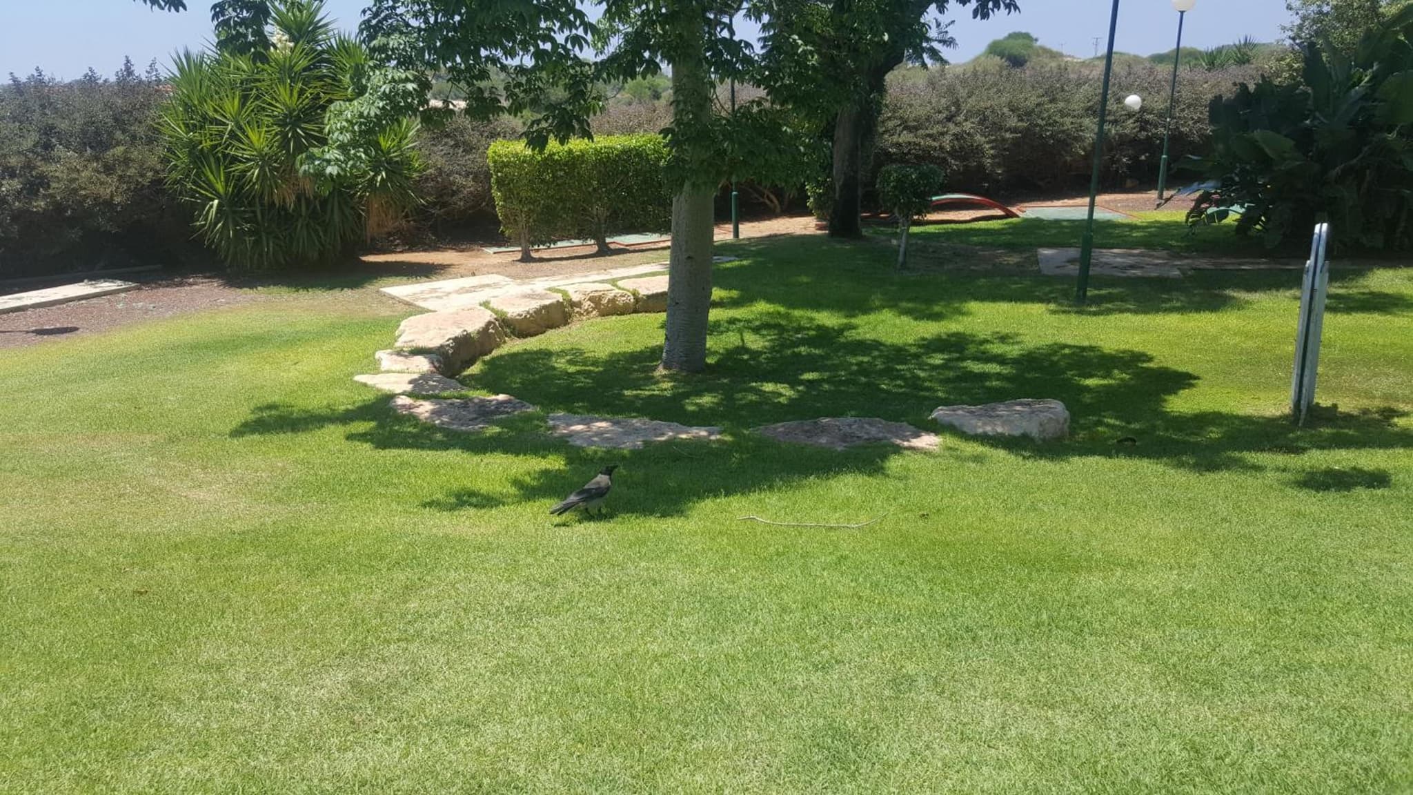 Neot Golf Caesarea Garden Apartment photo 9