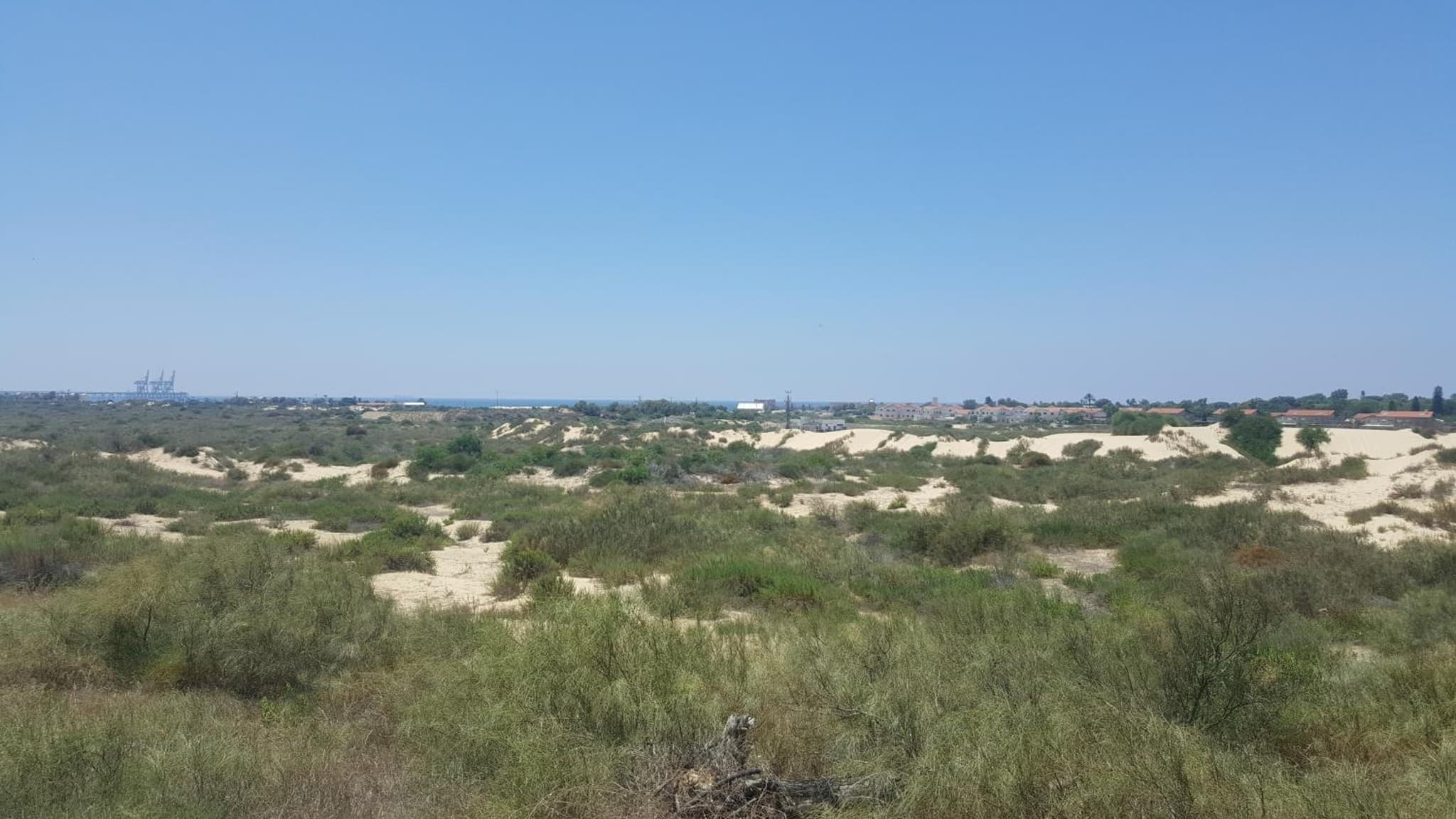 Neot Golf Caesarea Garden Apartment photo 2