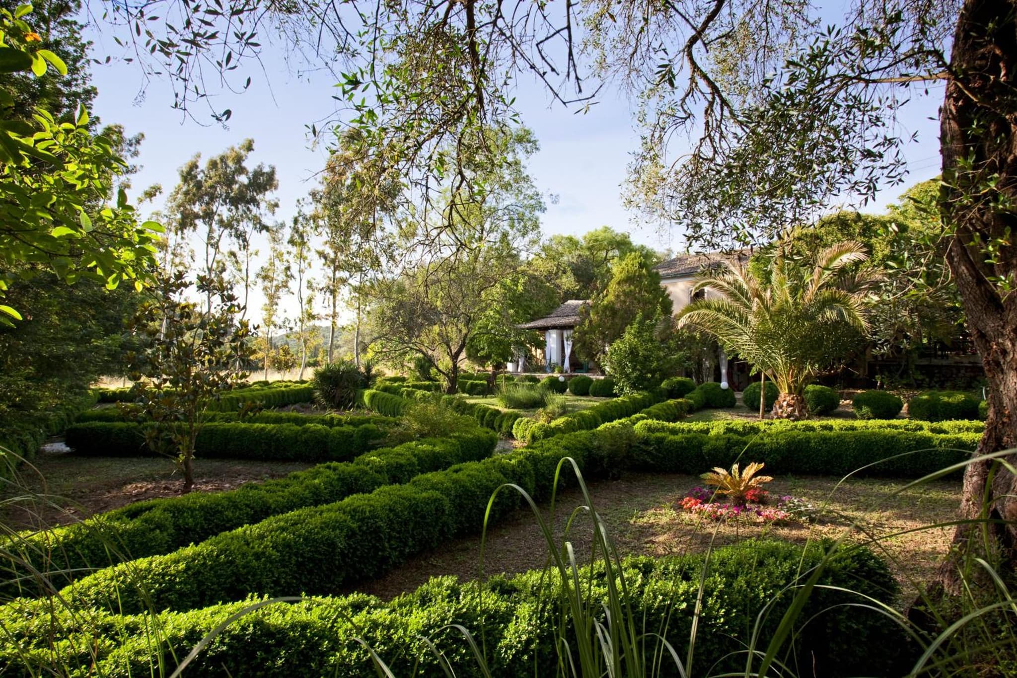 Pelecas Country Club photo 4