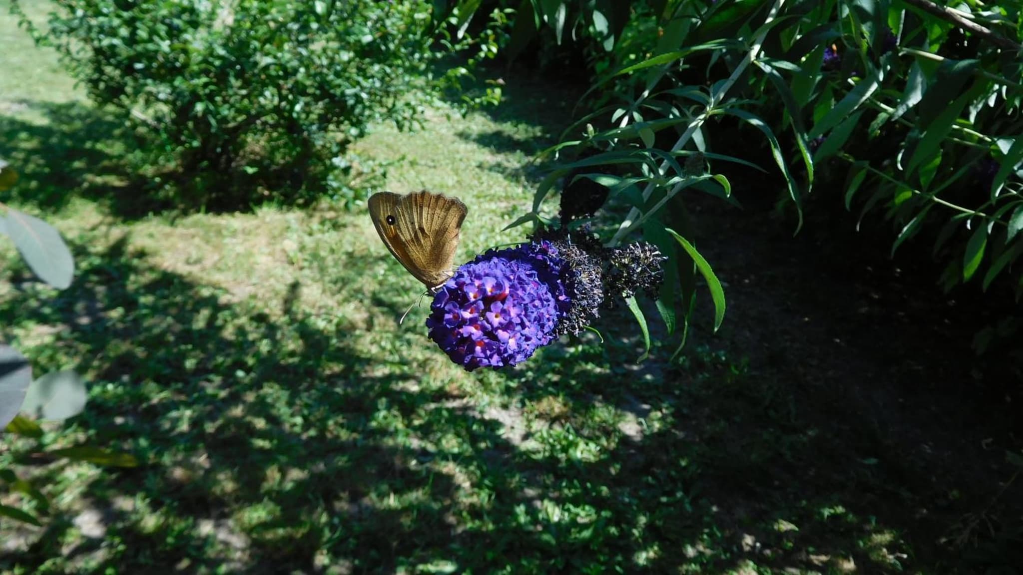 La Cle des Sens photo 2
