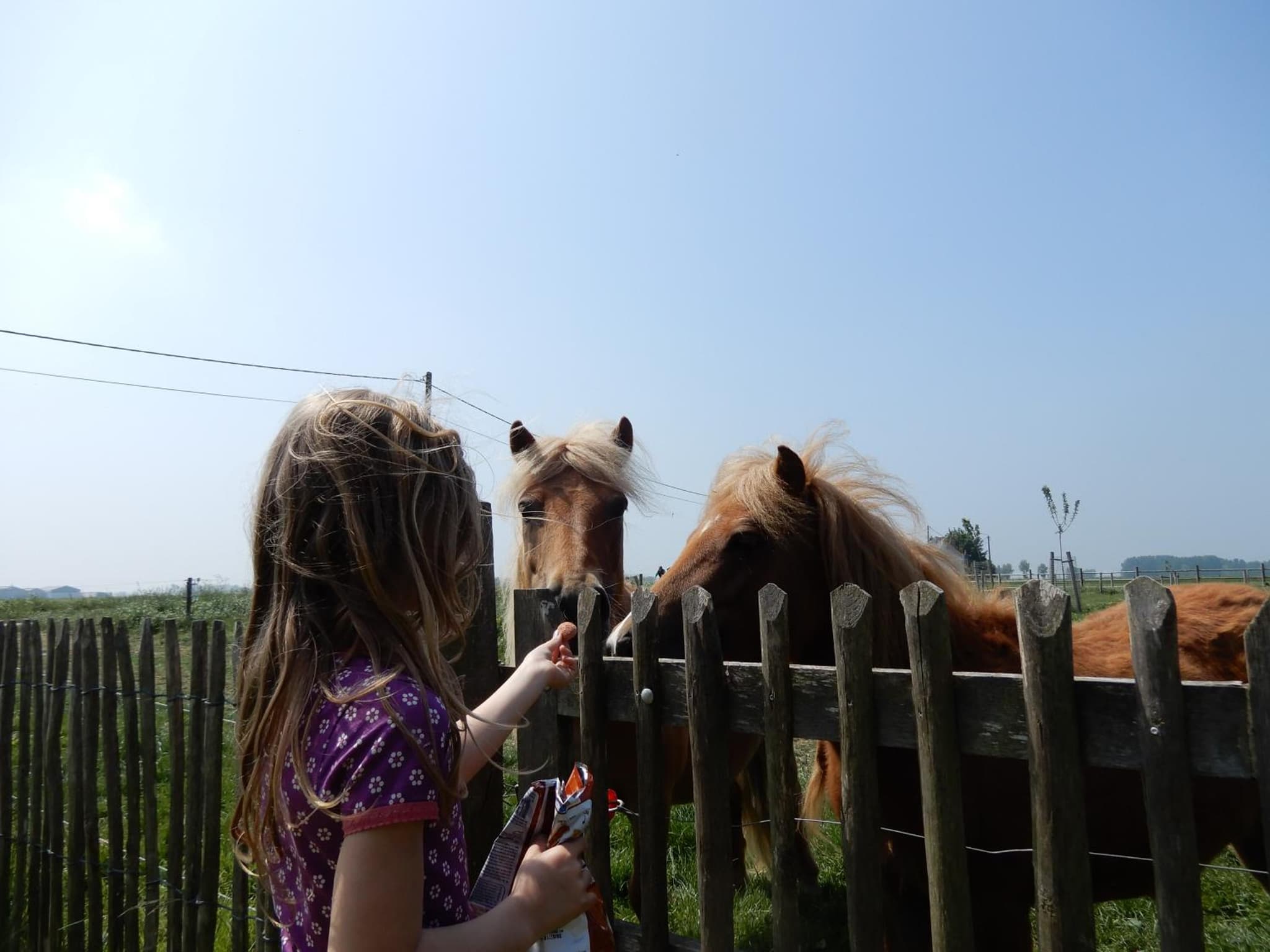 Holiday Home Cuylehoeve photo 7