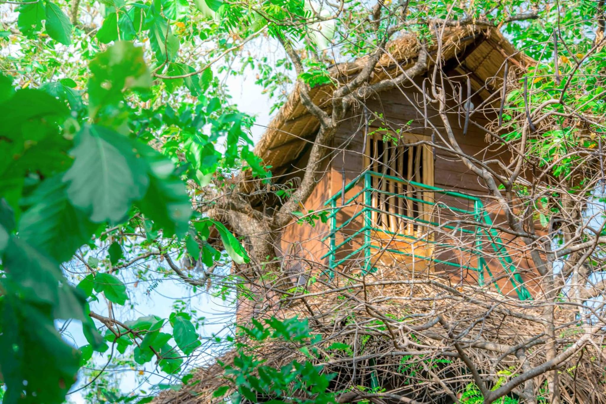 Wildescape Polonnaruwa