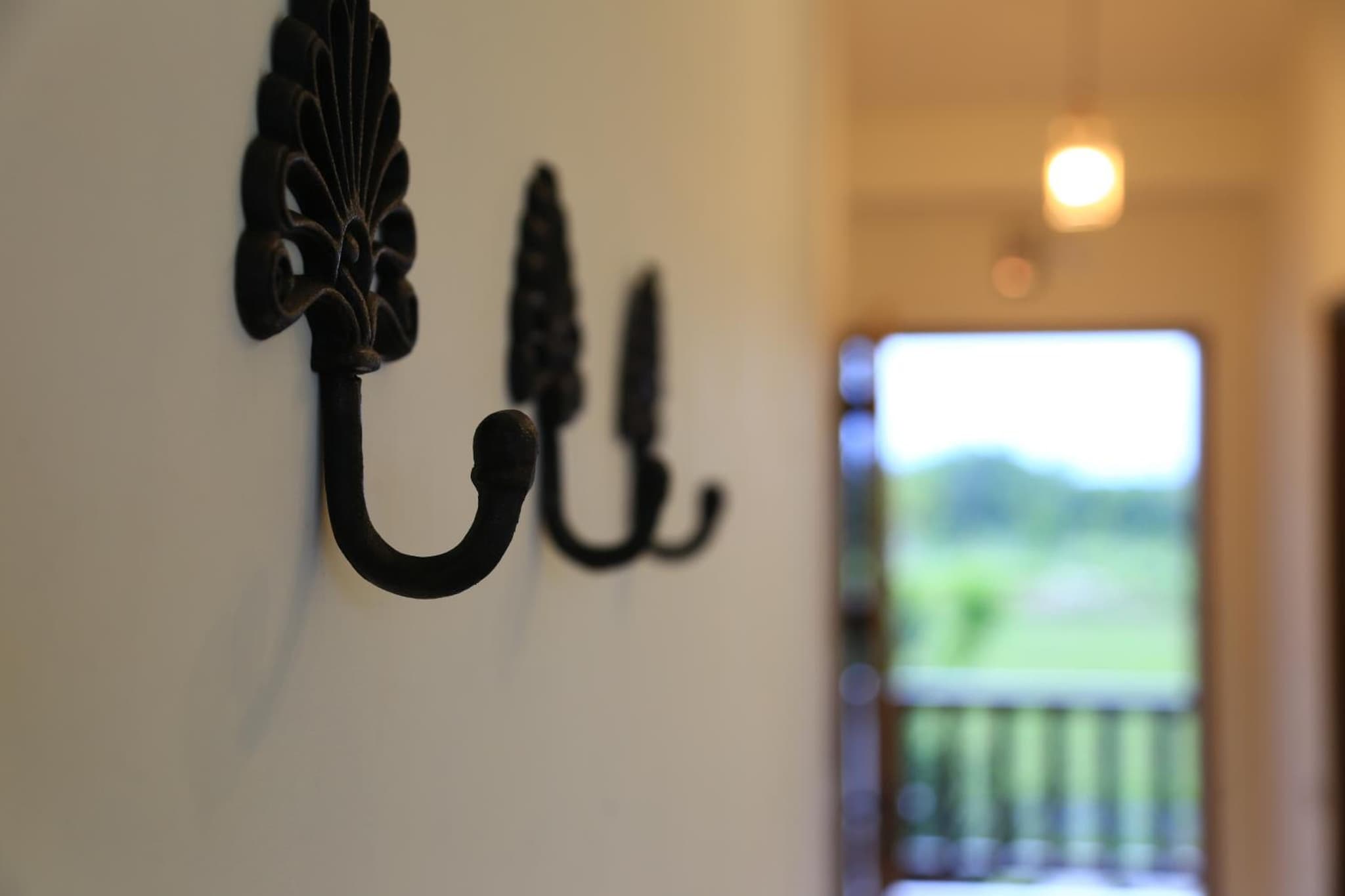 Sapientia photo 9