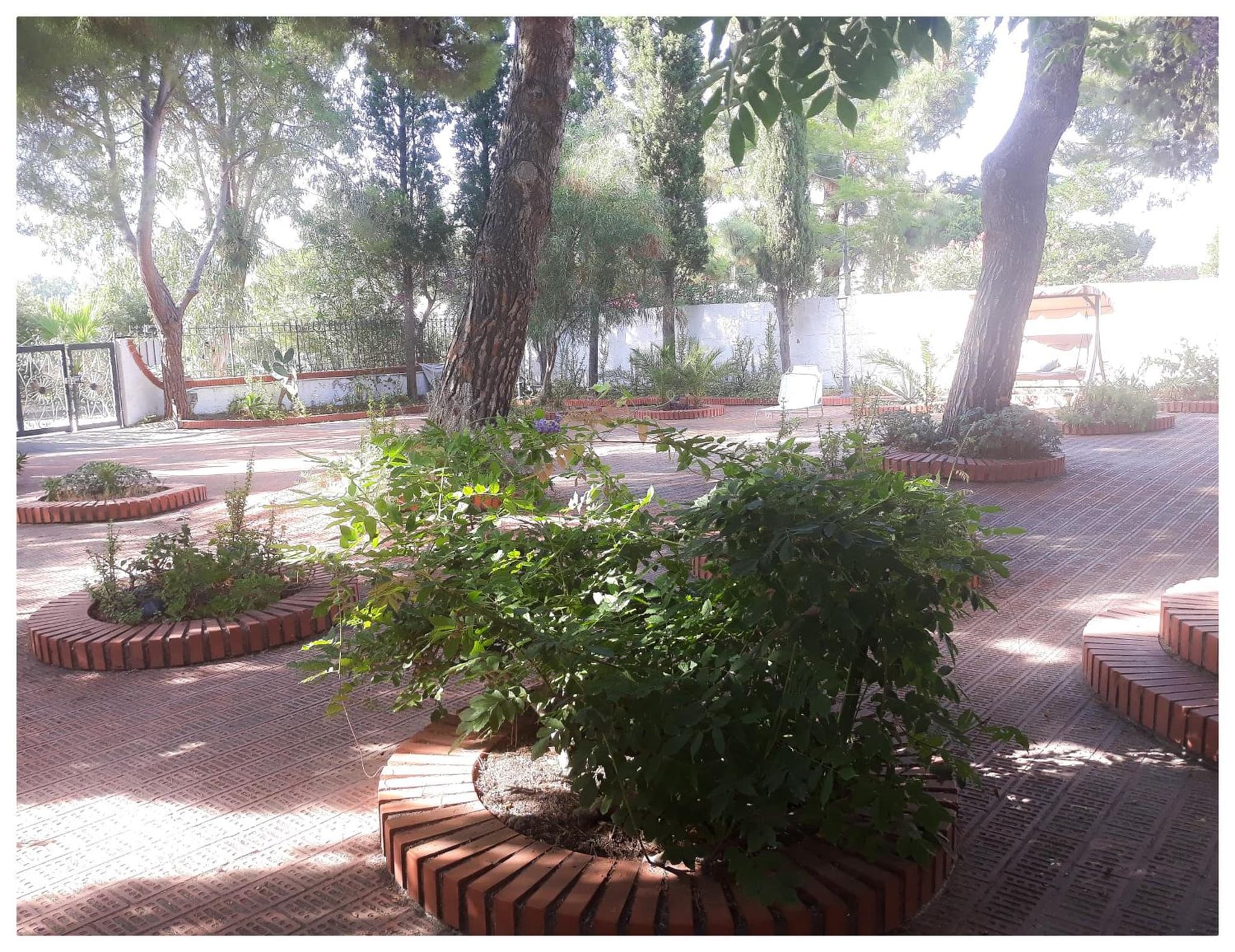 Villa il Glicine photo 5